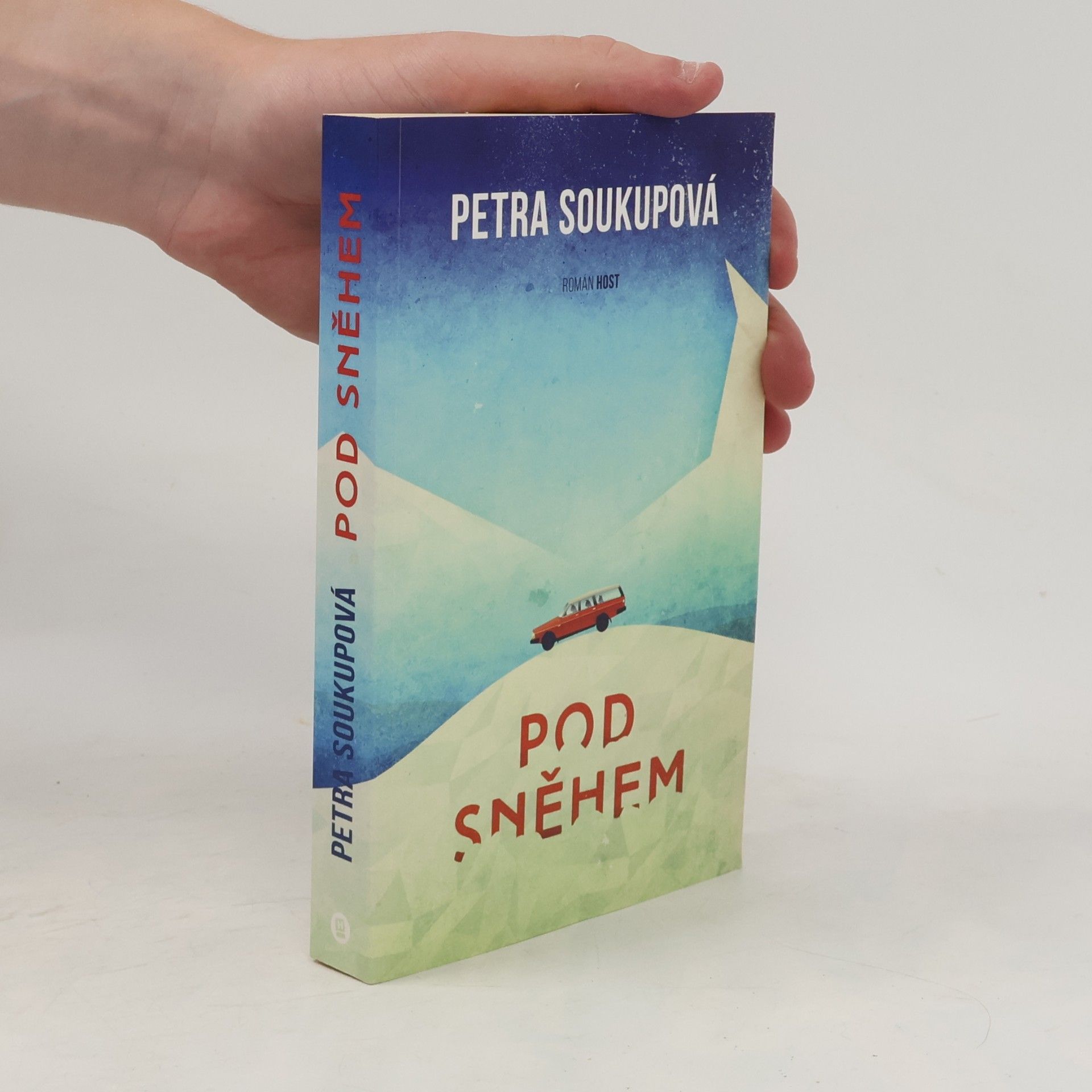Pod sněhem