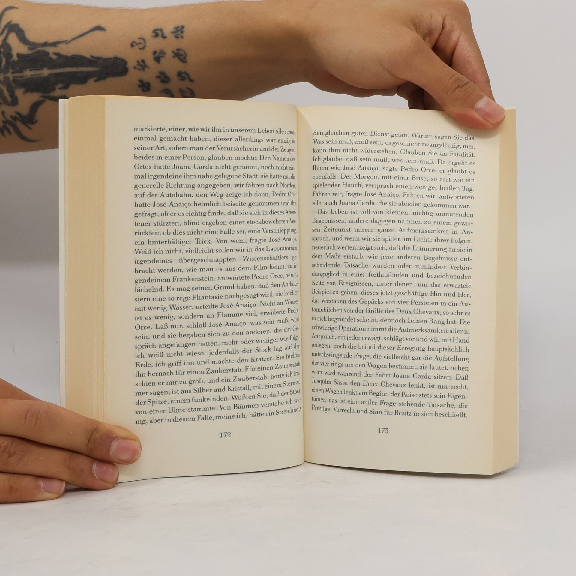 José Saramago Das steinerne Floss