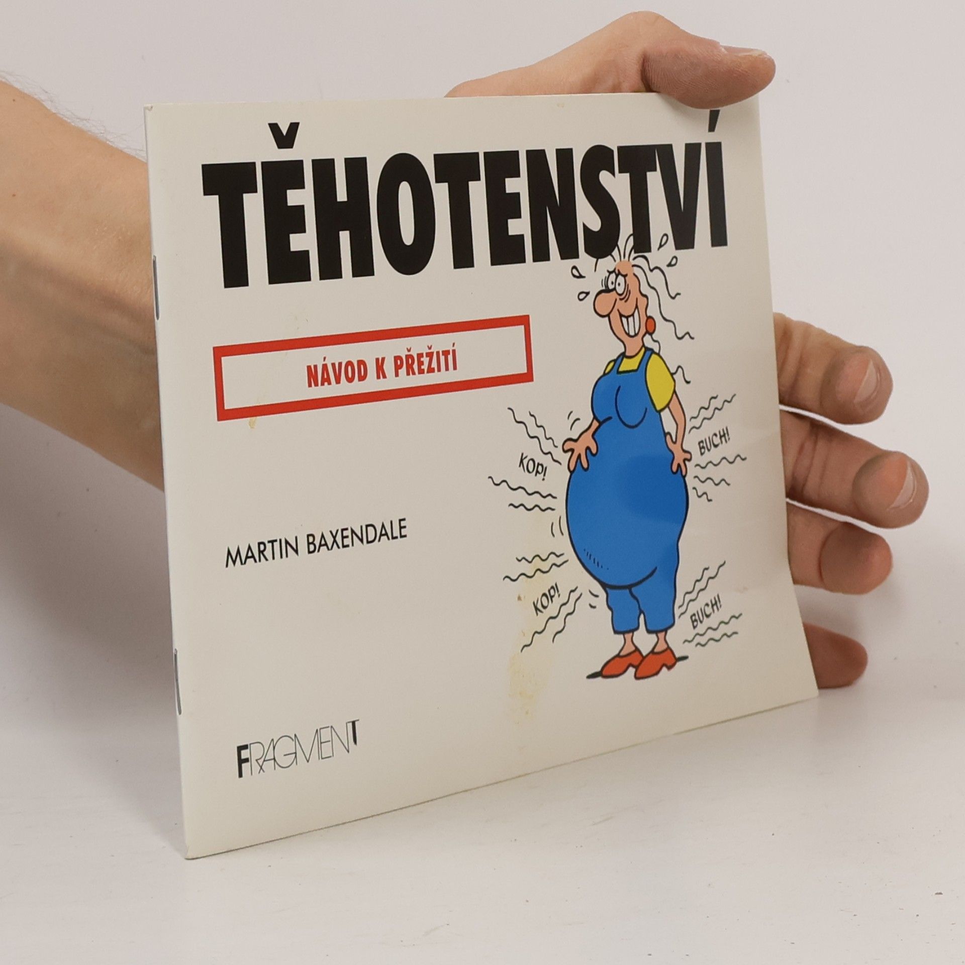 Martin Baxendale Těhotenství. Návod k přežití