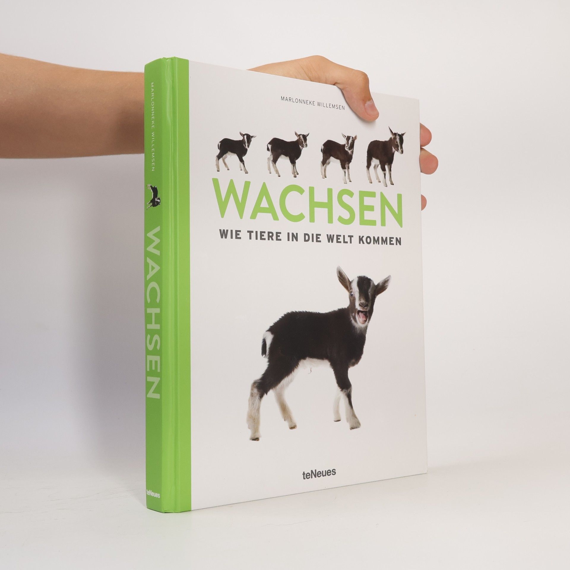 Marlonneke Willemsen Wachsen