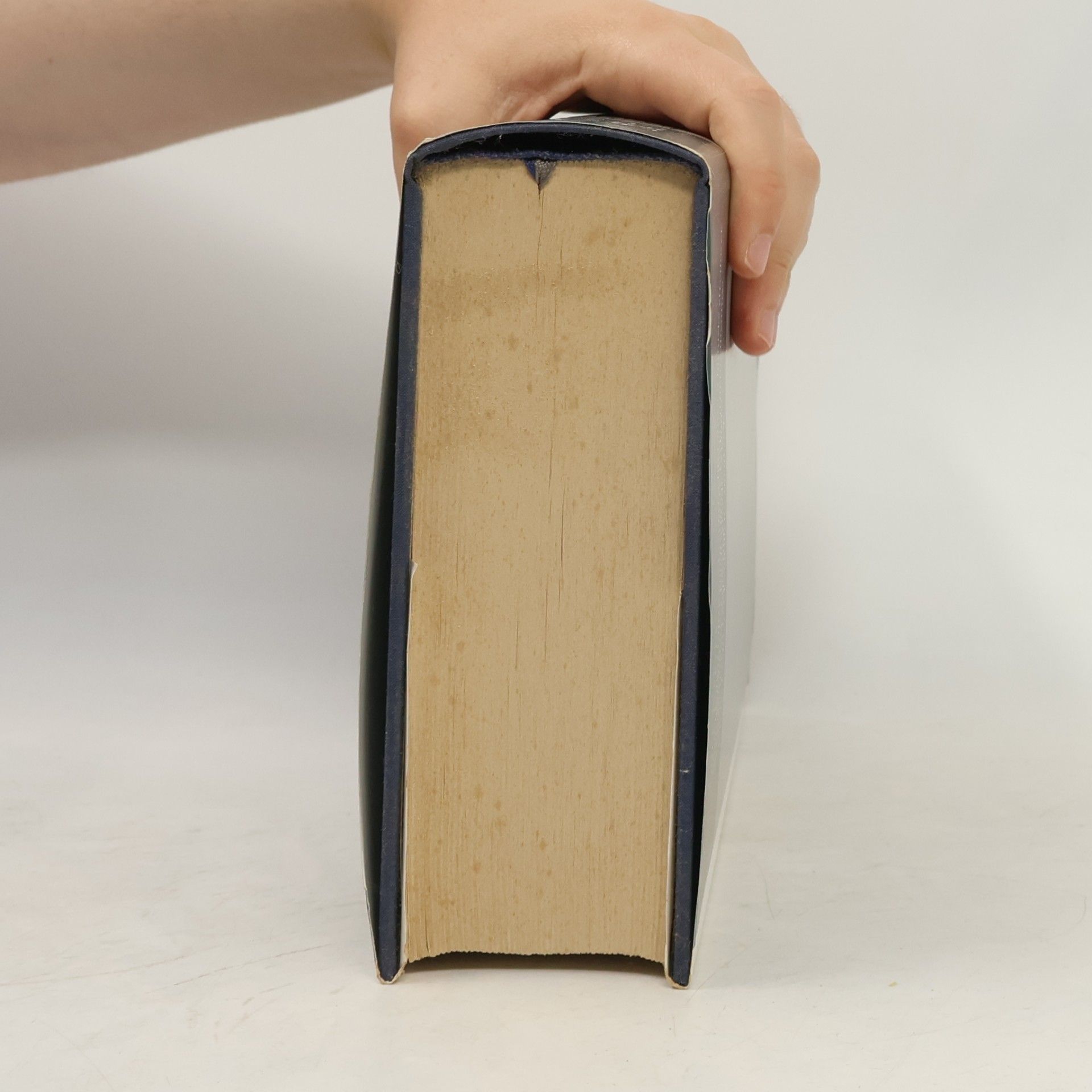 Ernst Robert Curtius Evropská literatura a latinský středověk
