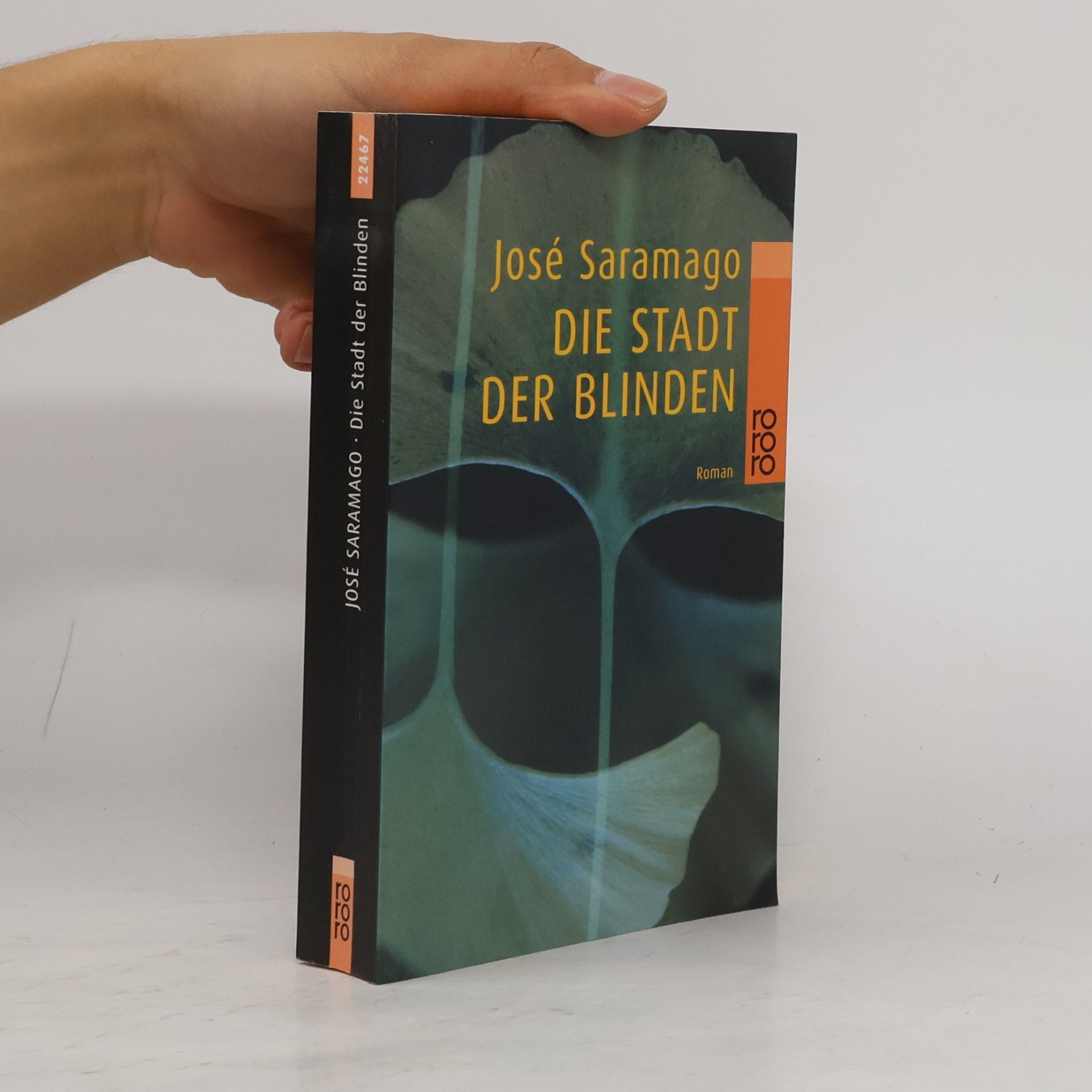 José Saramago Die Stadt der Blinden