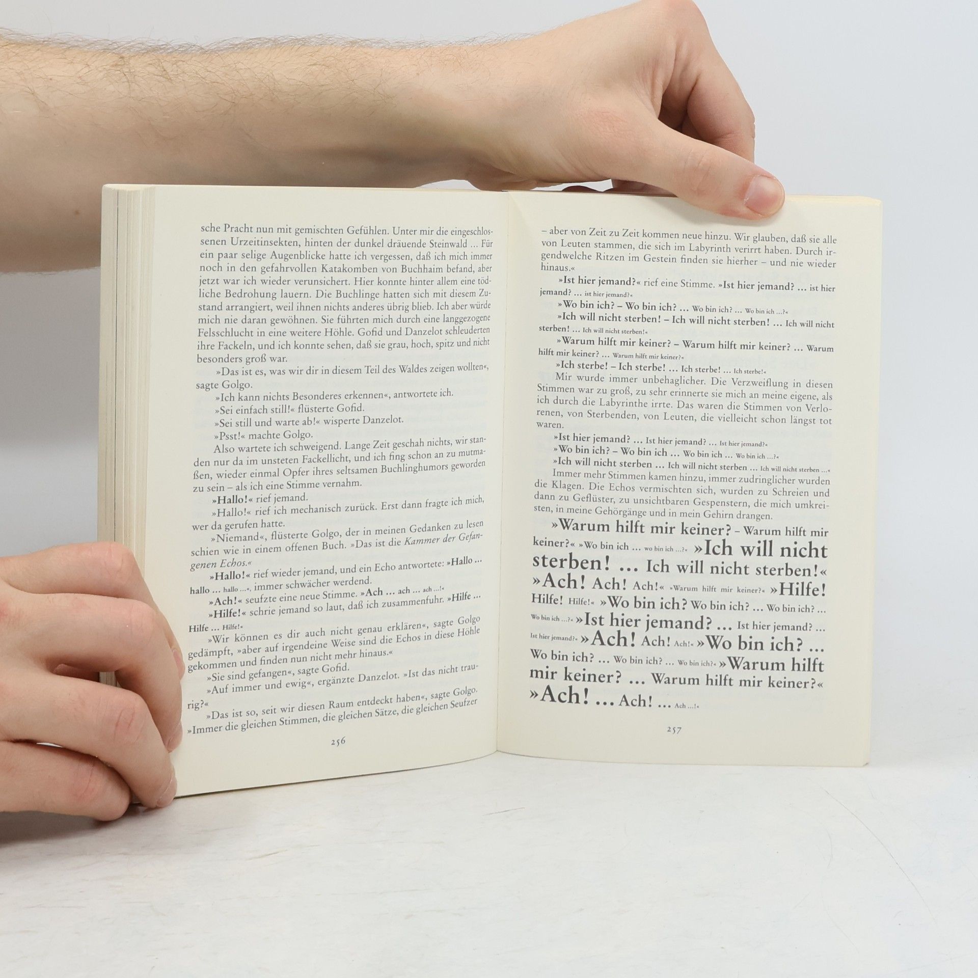 Walter Moers Die Stadt der Träumenden Bücher