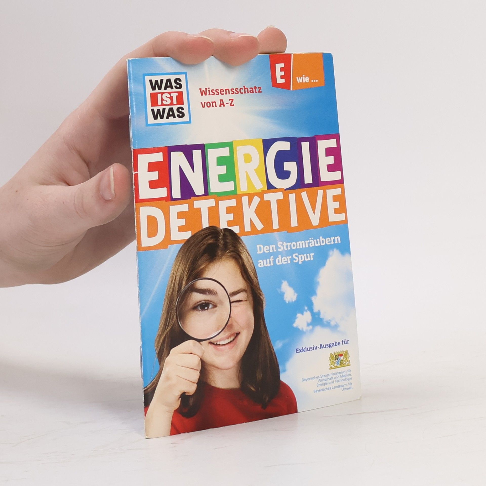 Various authors Energie-Detektive: Den Stromräubern auf der Spur