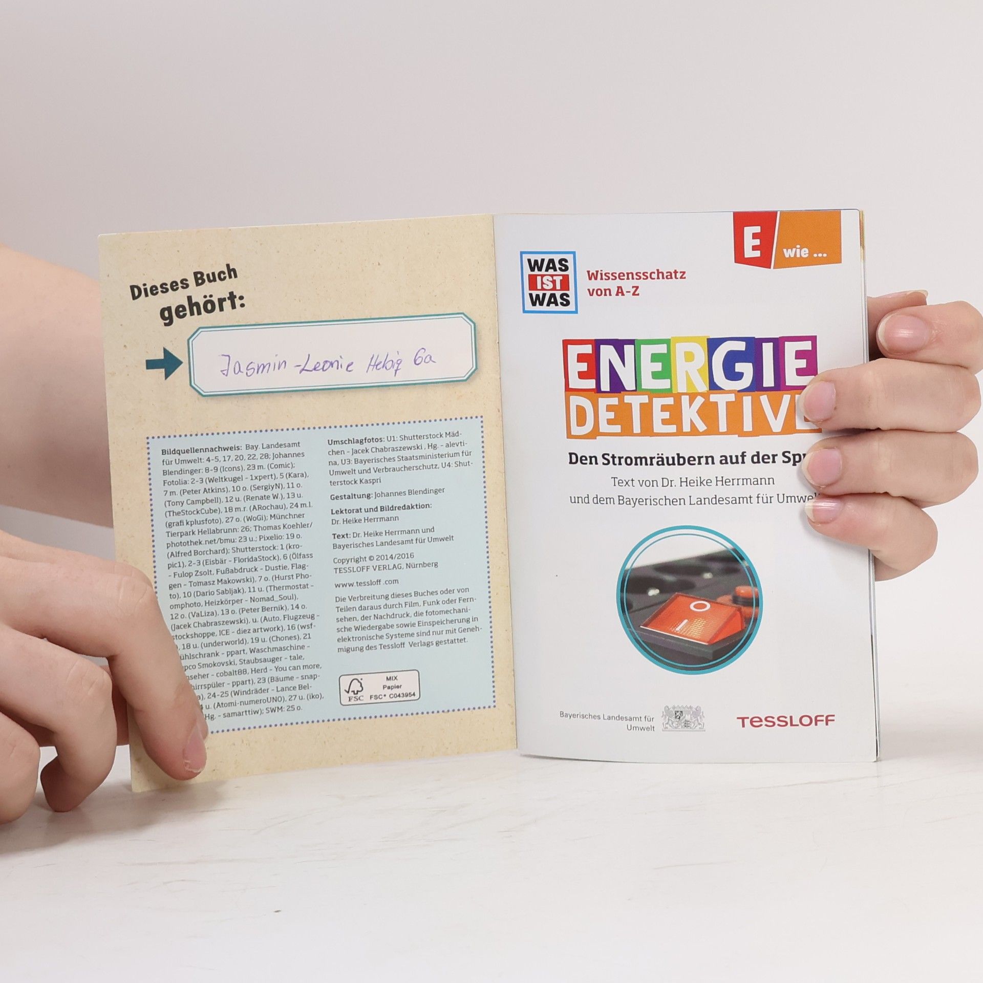 Various authors Energie-Detektive: Den Stromräubern auf der Spur