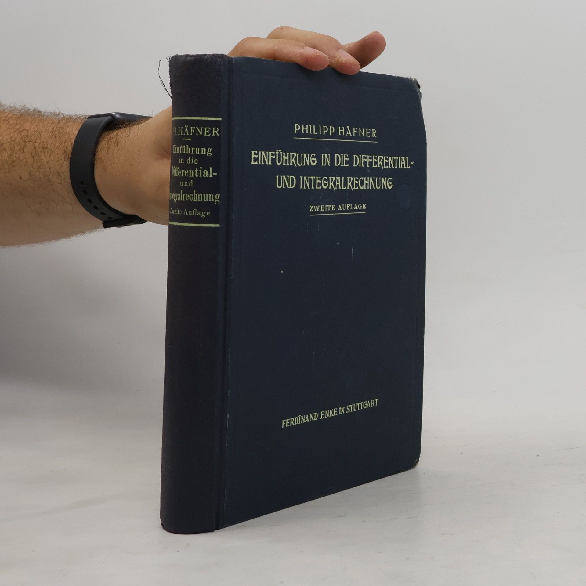 Philipp Hafner Einführung in die Differential- und Integralrechnung