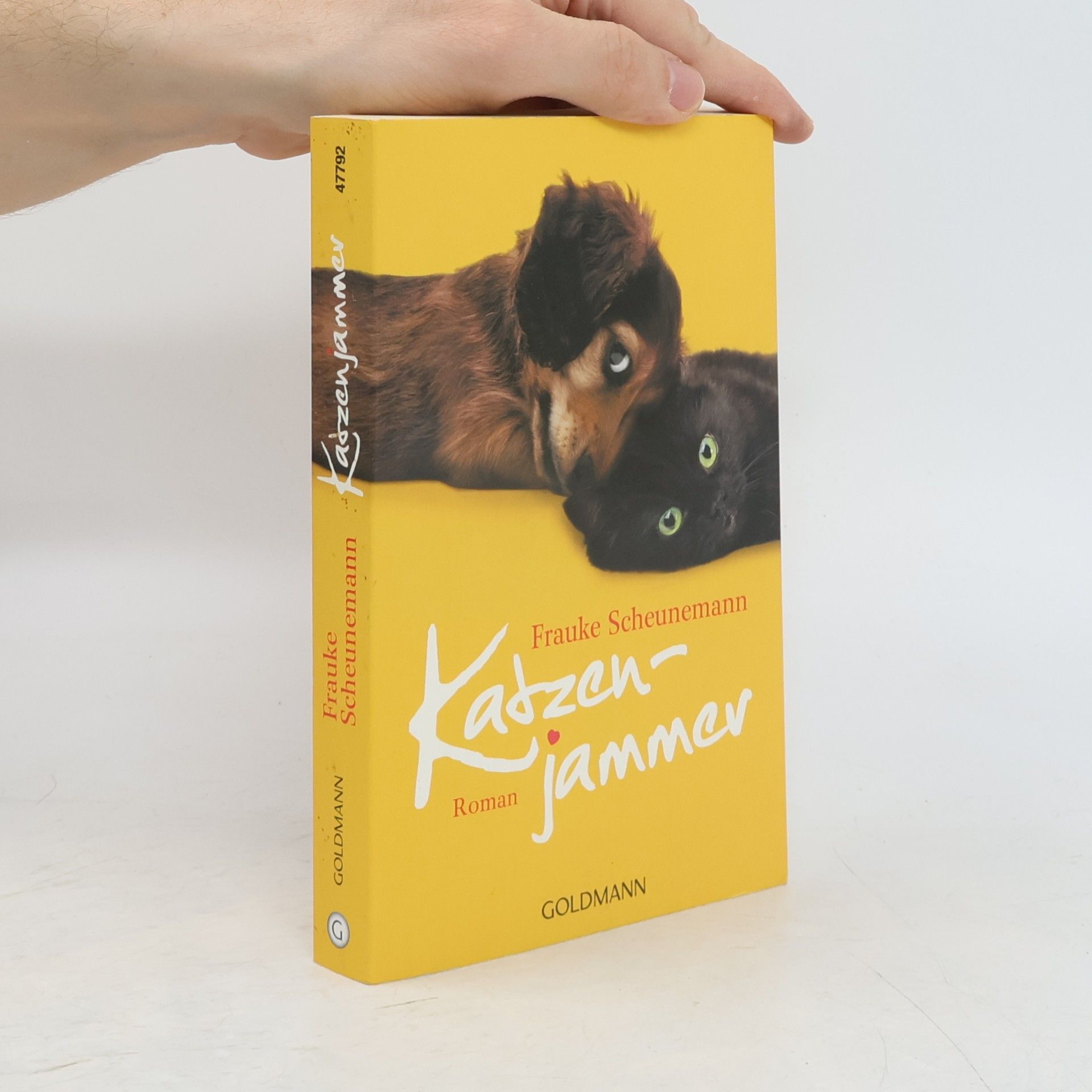 Frauke Scheunemann Katzenjammer