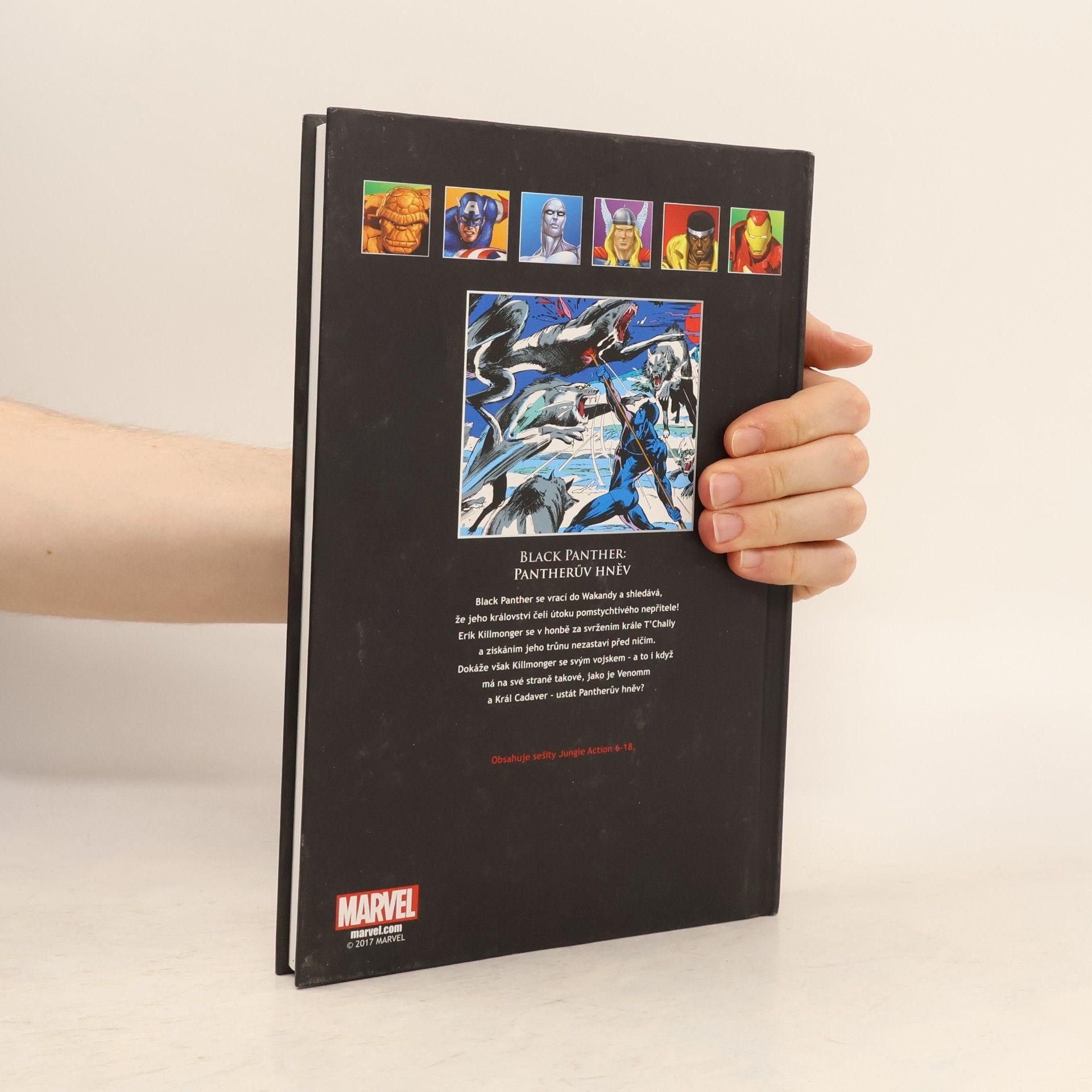 Don McGregor Ultimátní komiksový úlet 111. Black Panther: Pantherův hněv