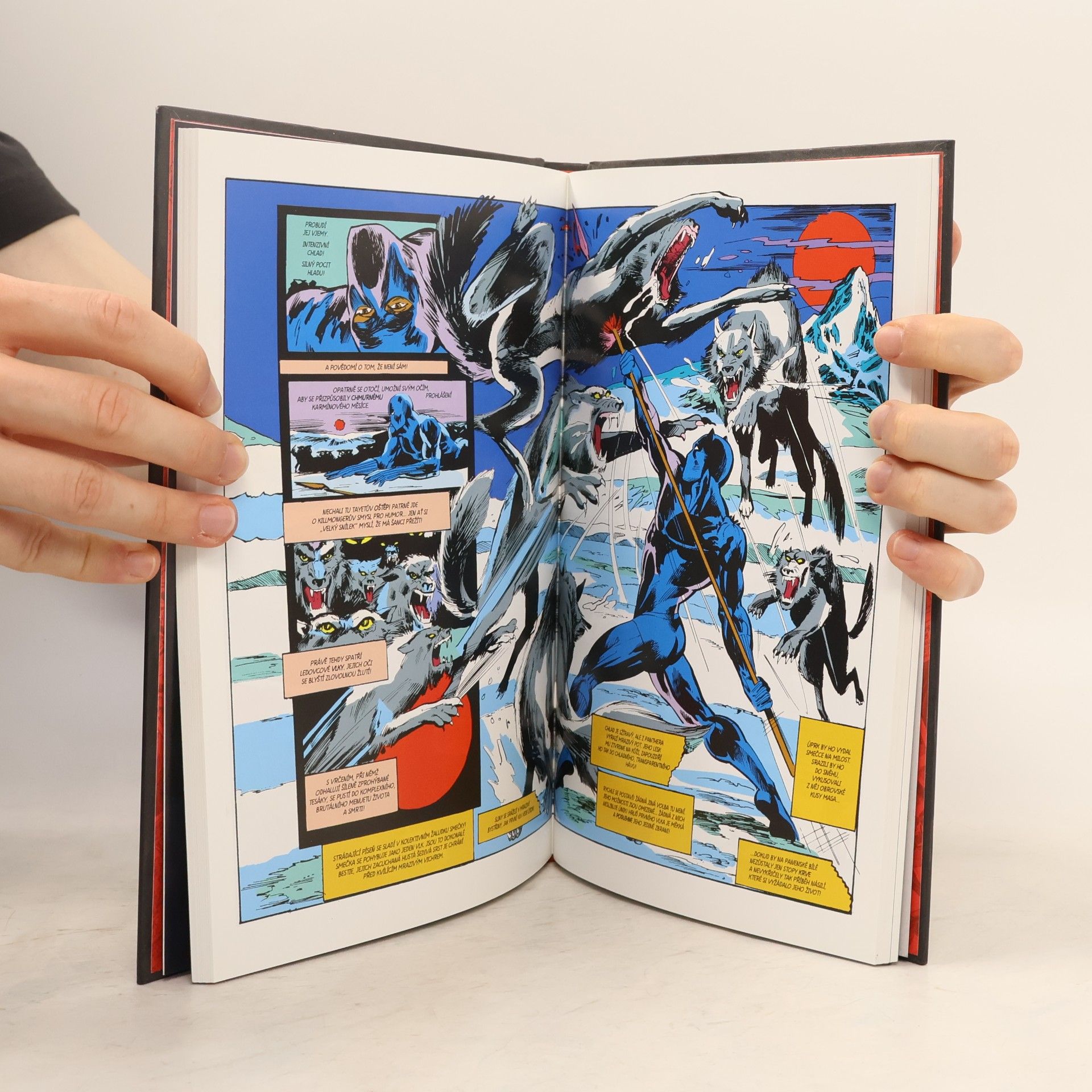Don McGregor Ultimátní komiksový úlet 111. Black Panther: Pantherův hněv