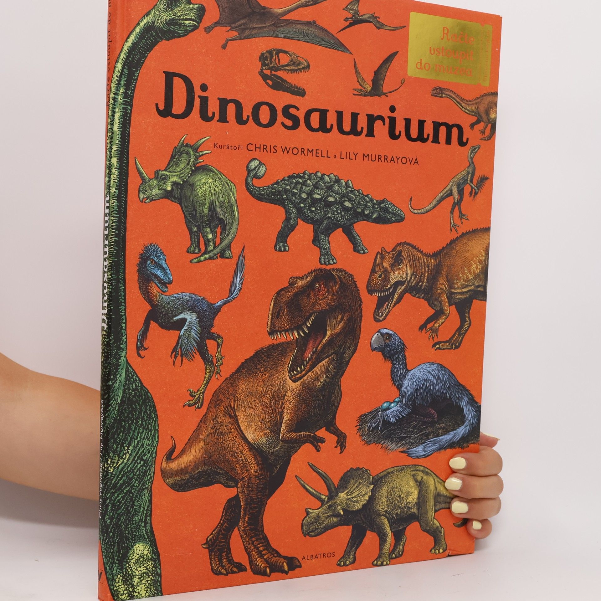 Lily Murray Dinosaurium
