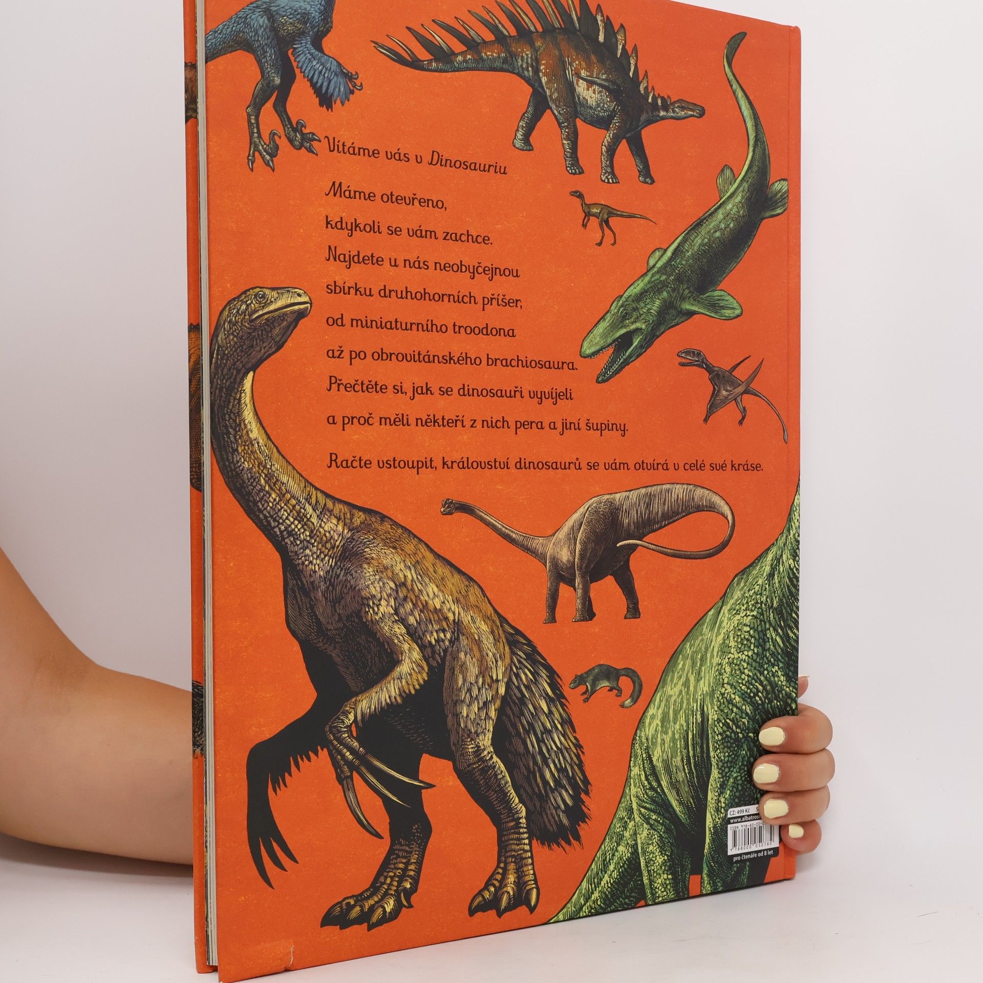 Lily Murray Dinosaurium