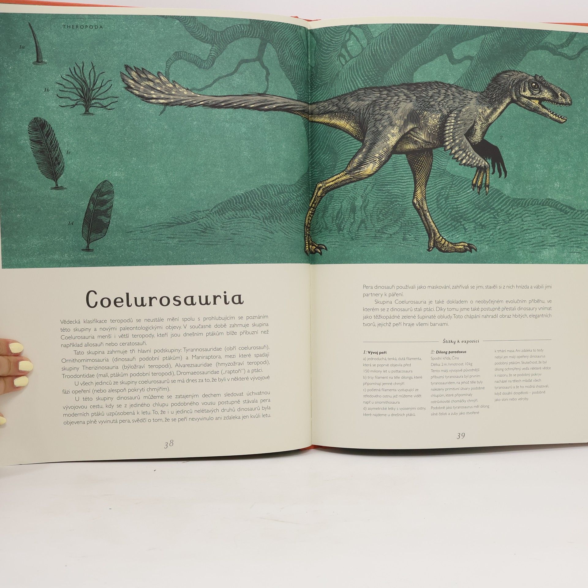 Lily Murray Dinosaurium