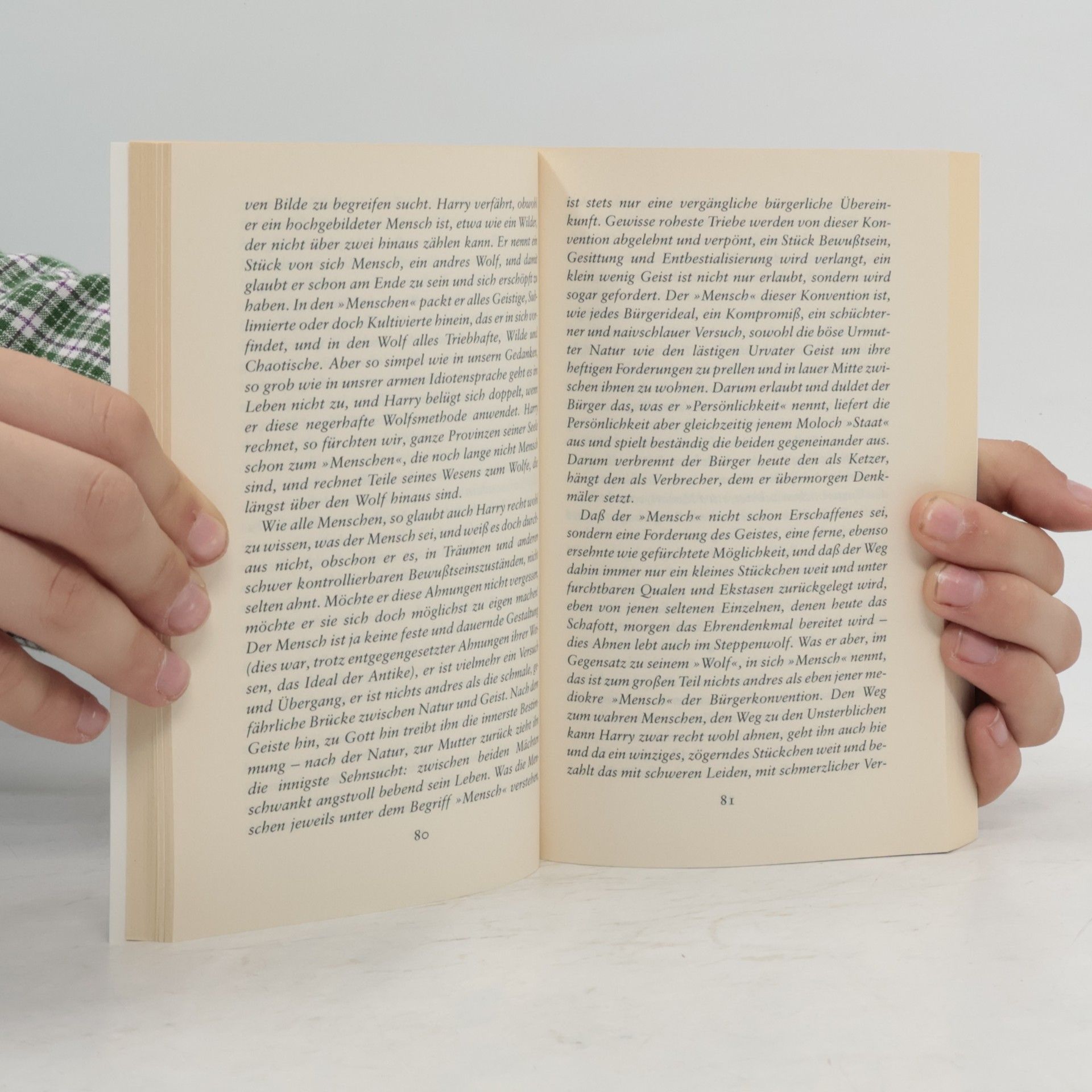 Hermann Hesse Der Steppenwolf