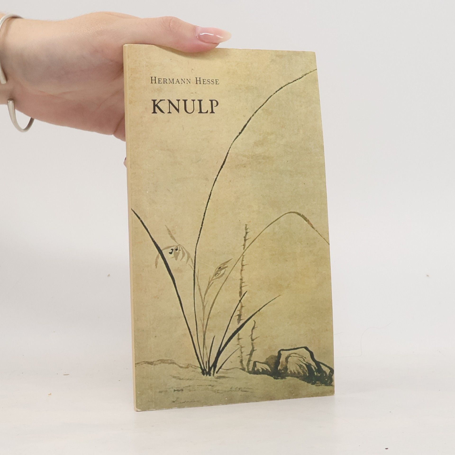 Hermann Hesse Knulp