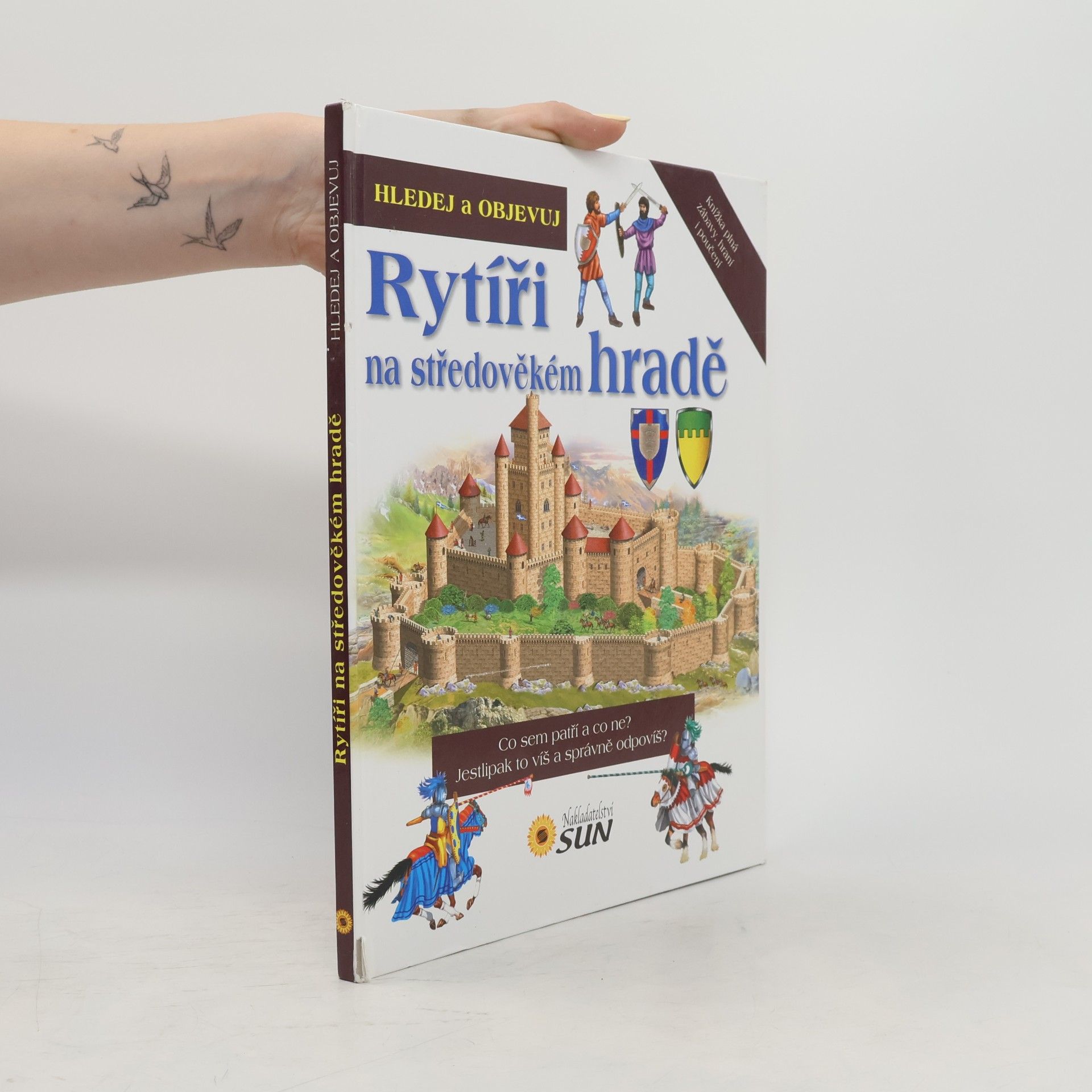 Rytíři na středověkém hradě