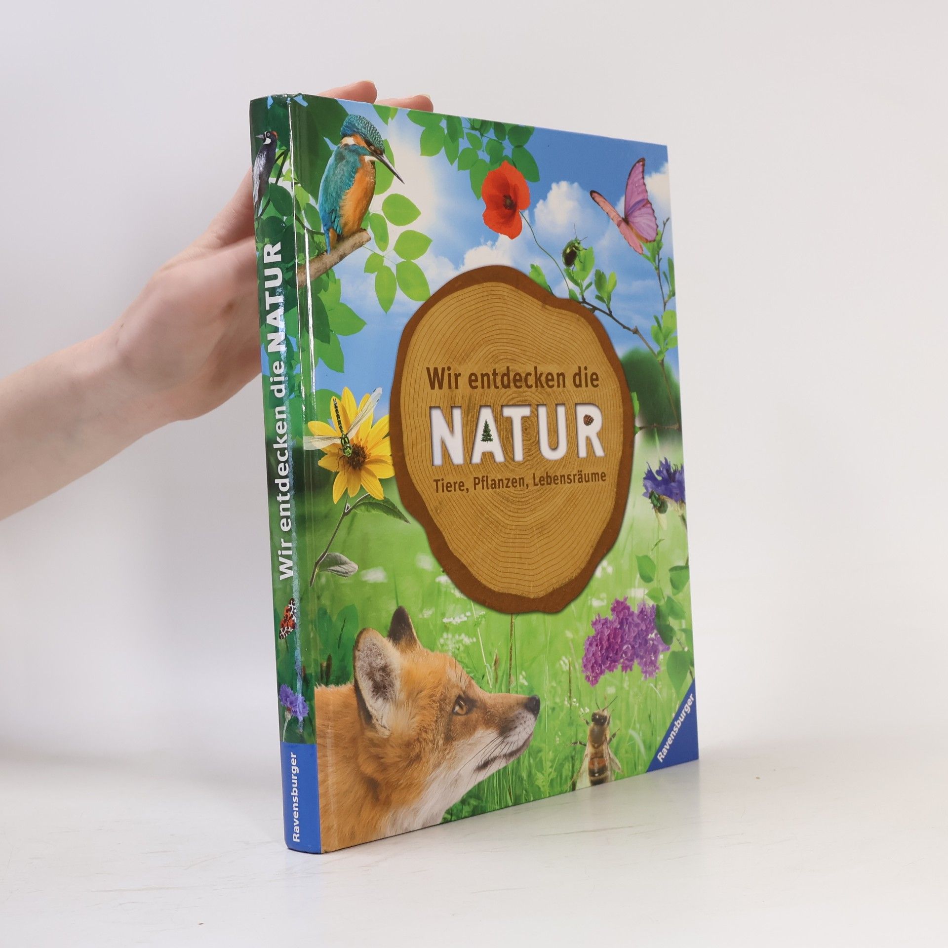 Bärbel Oftring Wir entdecken die Natur