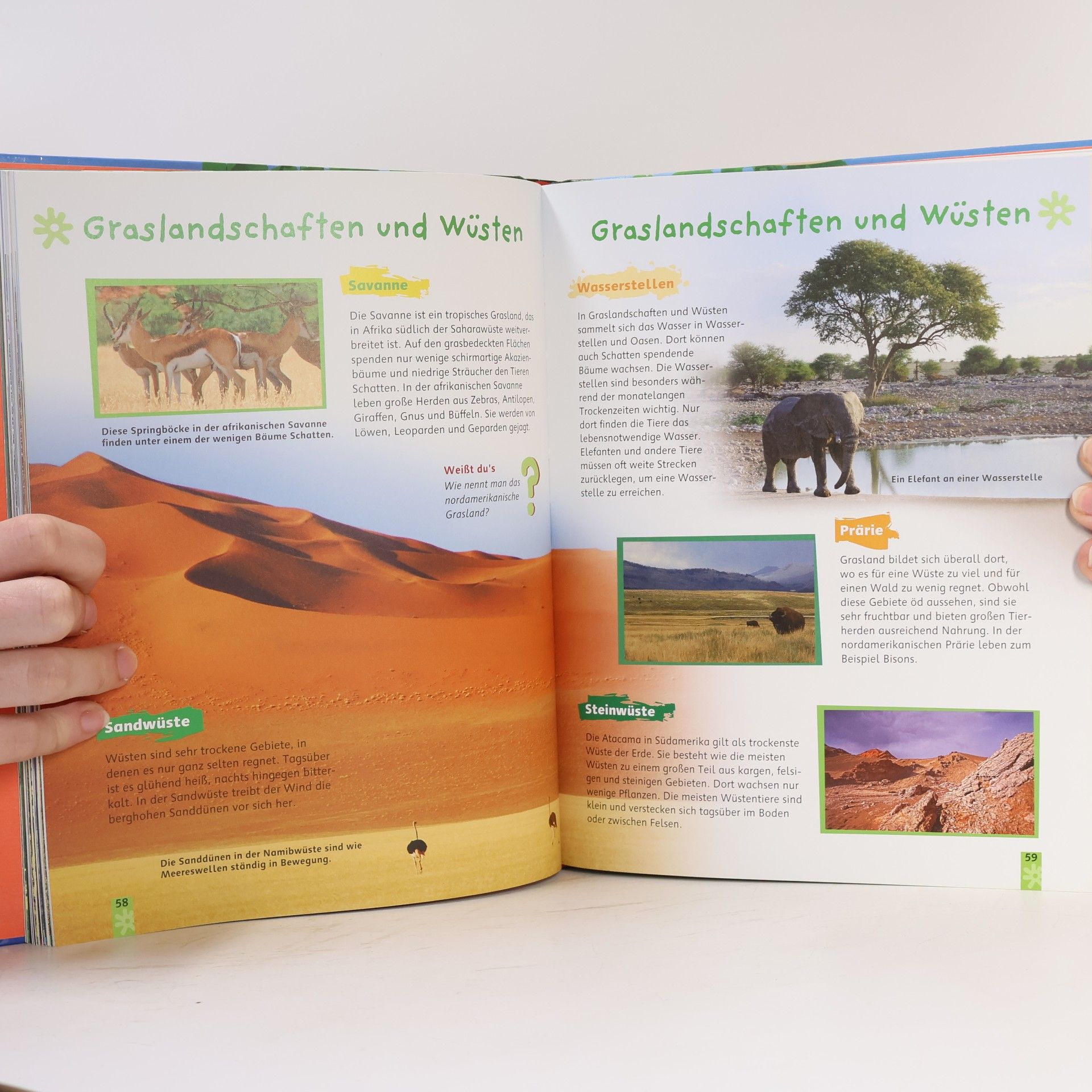 Bärbel Oftring Wir entdecken die Natur