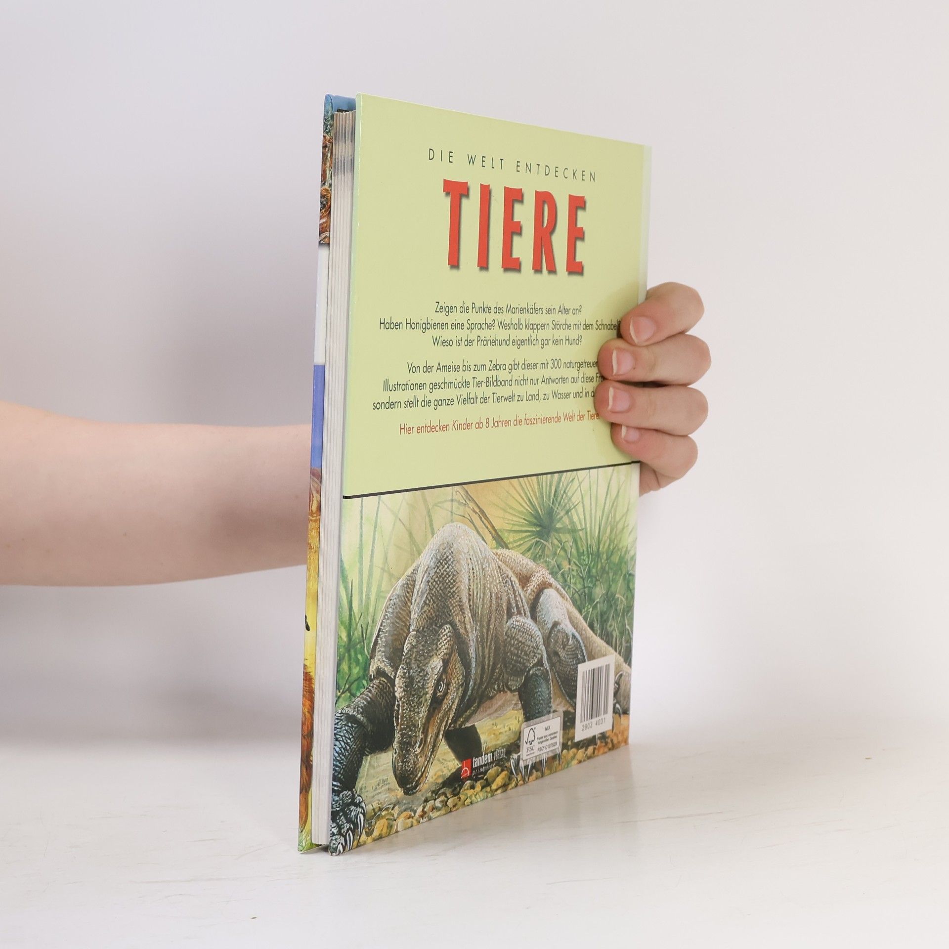 Kolektiv autorů Die Welt entdecken. Tiere