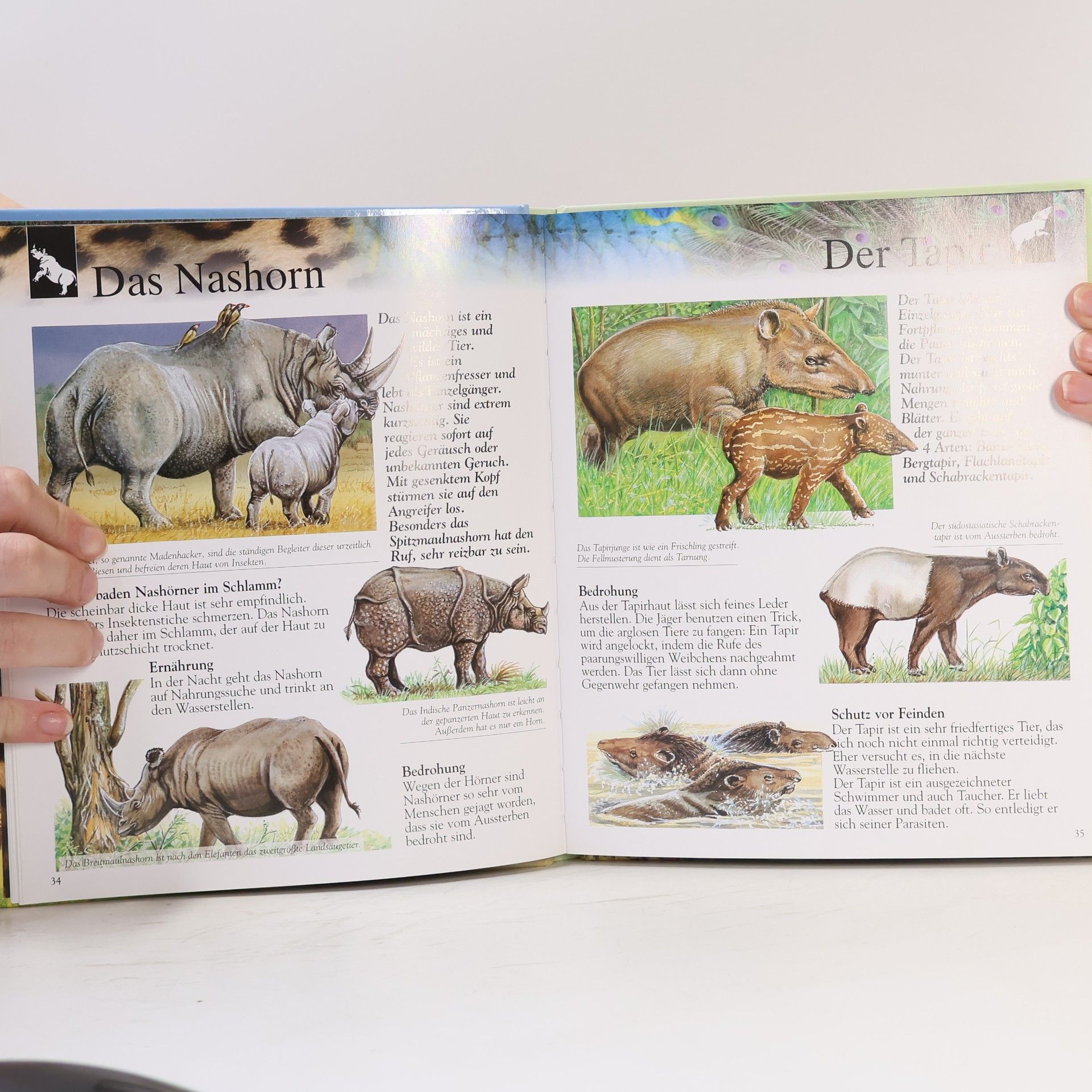 Kolektiv autorů Die Welt entdecken. Tiere