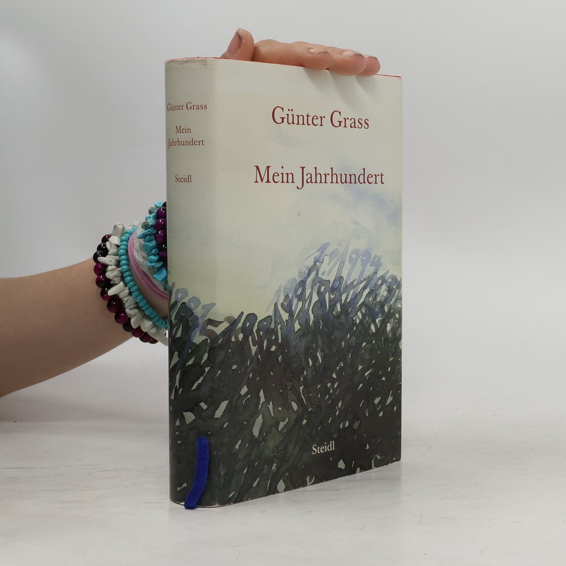 Günter Grass Mein Jahrhundert