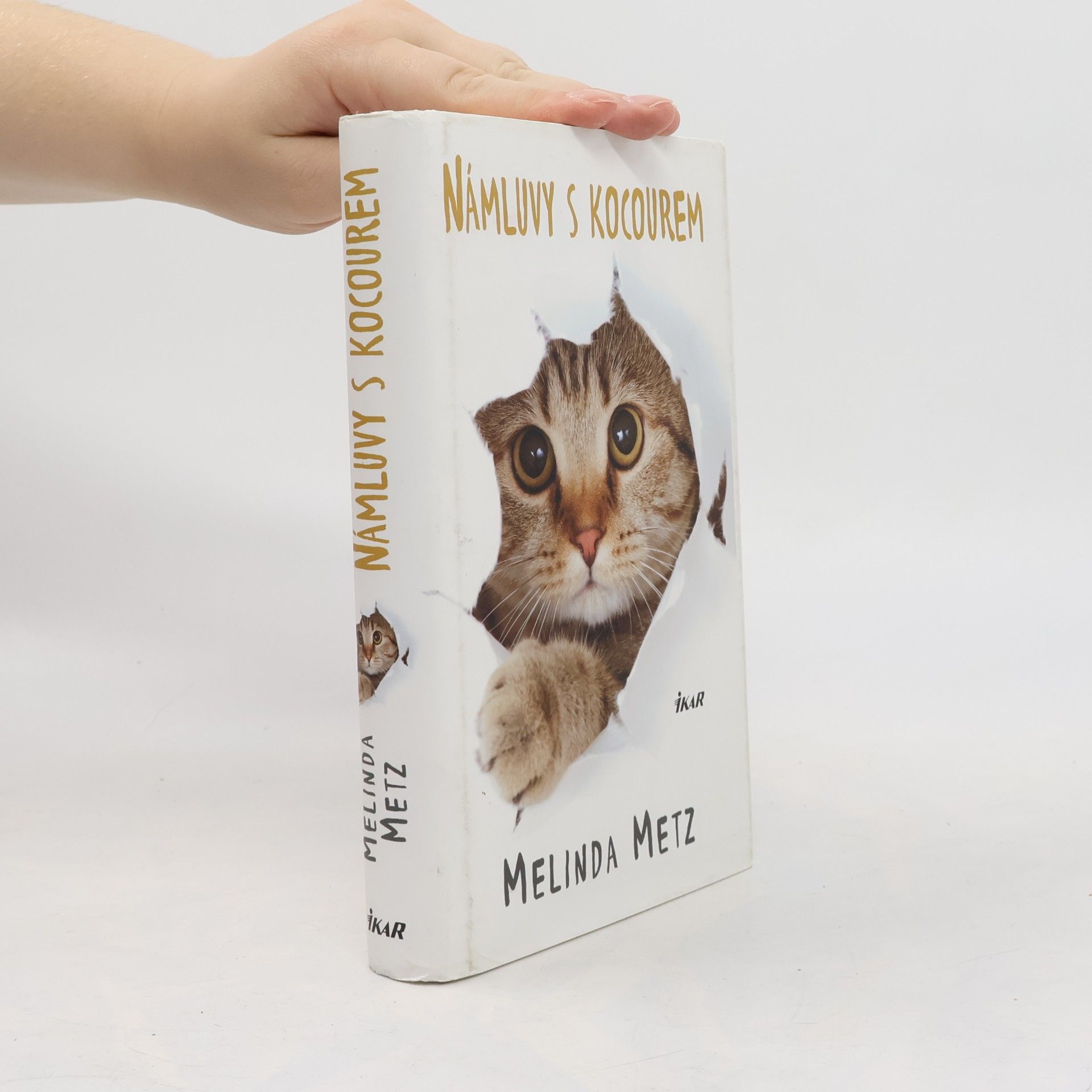 Melinda Metz Námluvy s kocourem