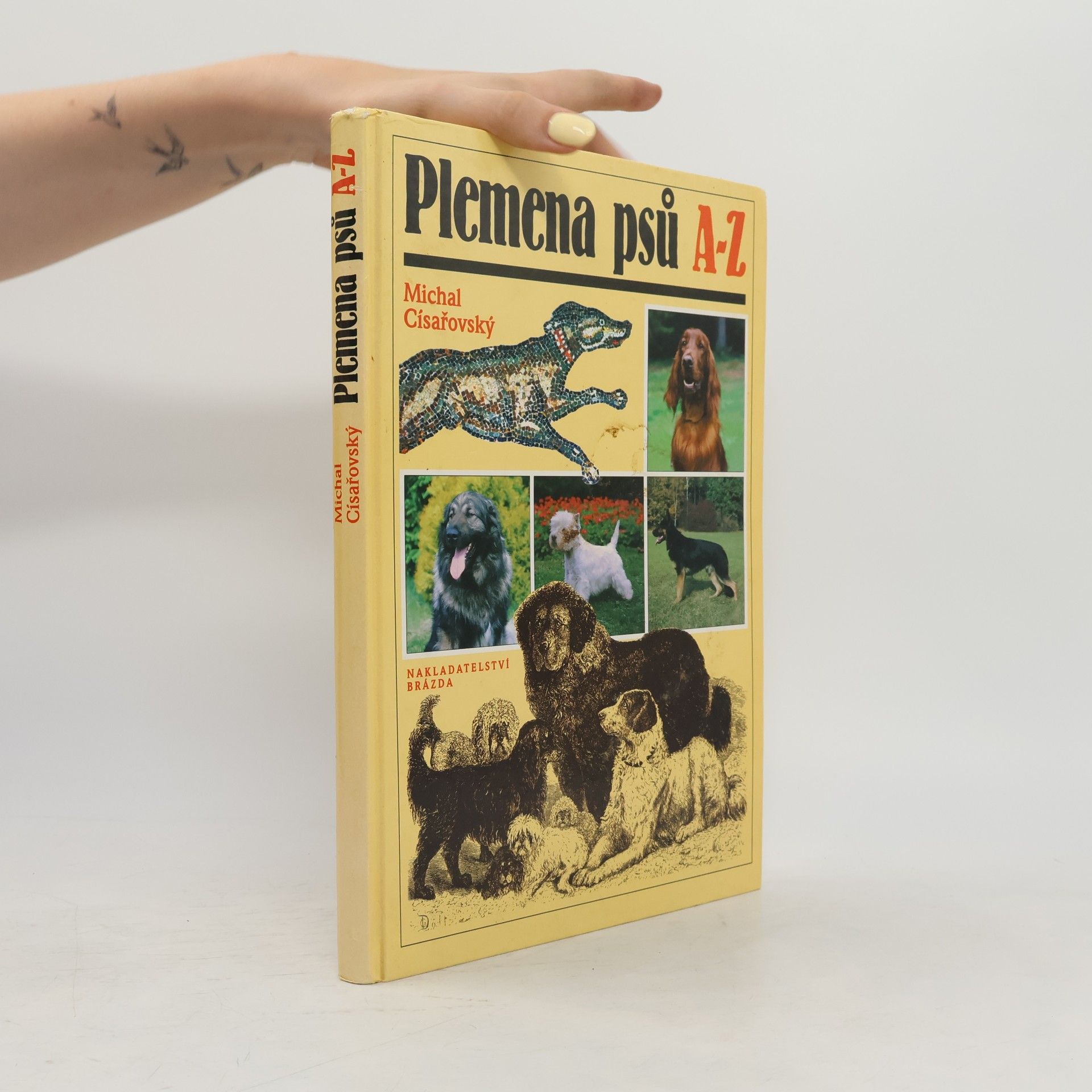 Michal Císařovský Plemena psů A-Z