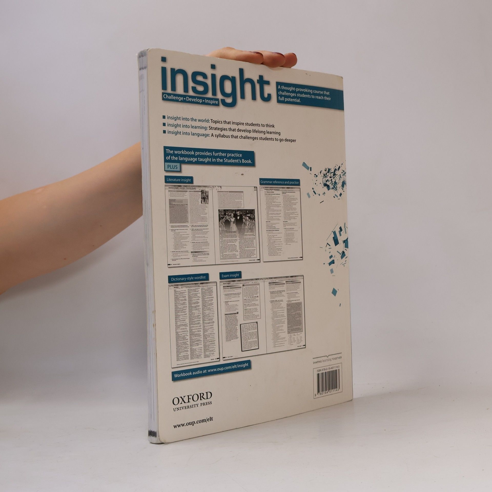 Kolektiv autorů Insight Upper Intermediate Workbook