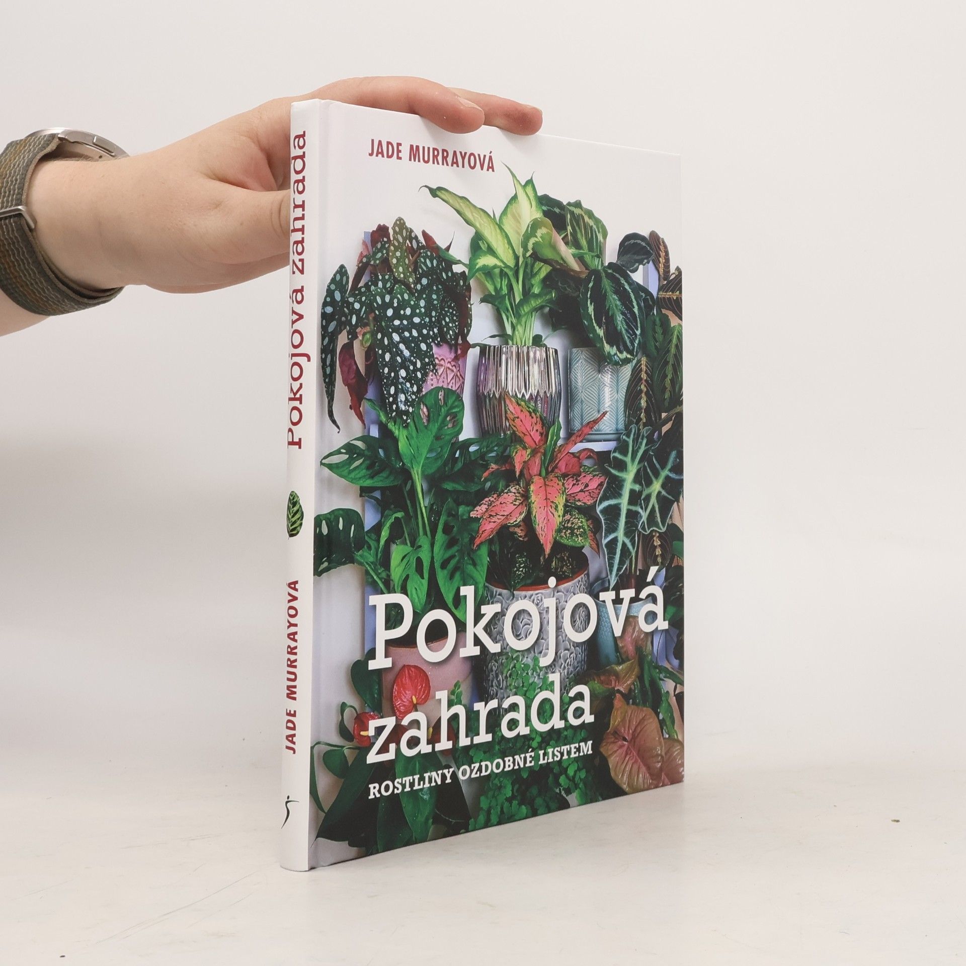 Jade Murray Pokojová zahrada : rostliny ozdobné listem