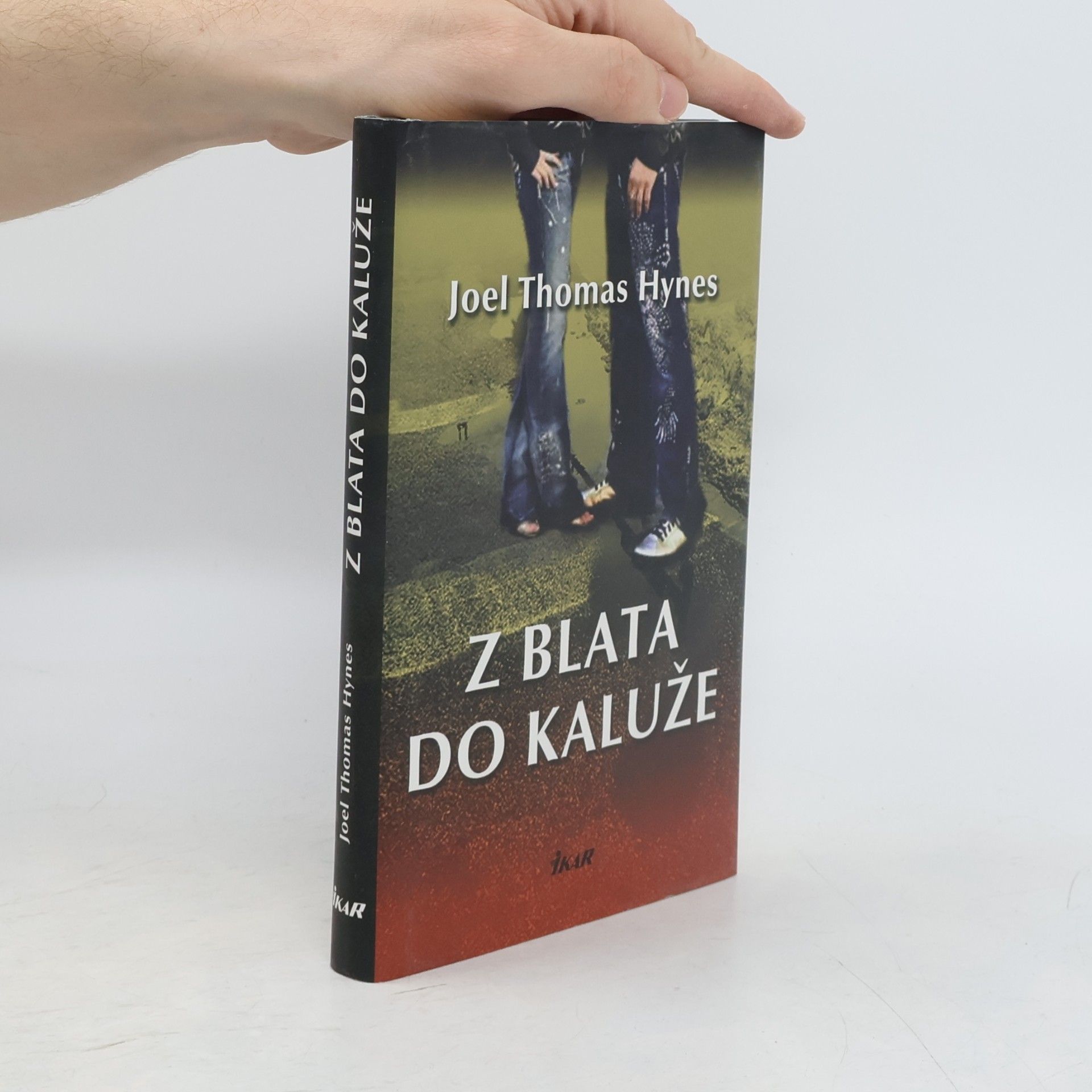 Joel Thomas Hynes Z blata do kaluže