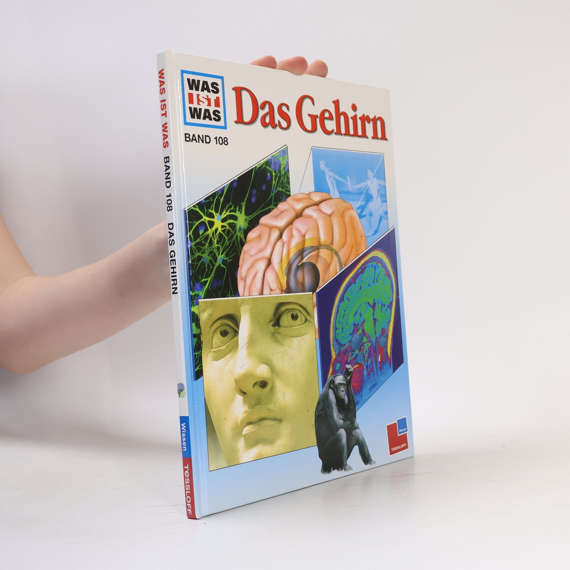 Monika Rößiger Das Gehirn
