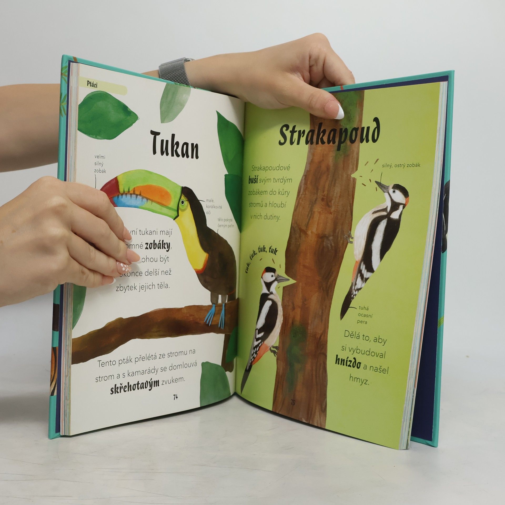 Autorenkollektiv Usínáme se zvířaty : prohlédněte si více než 100 svých oblíbených zvířat