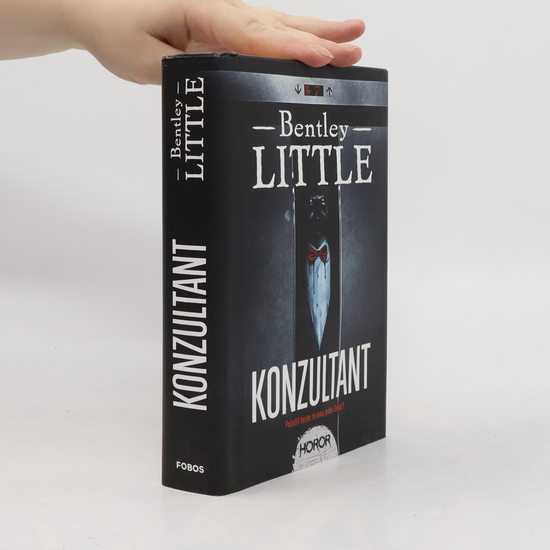 Bentley Little Konzultant