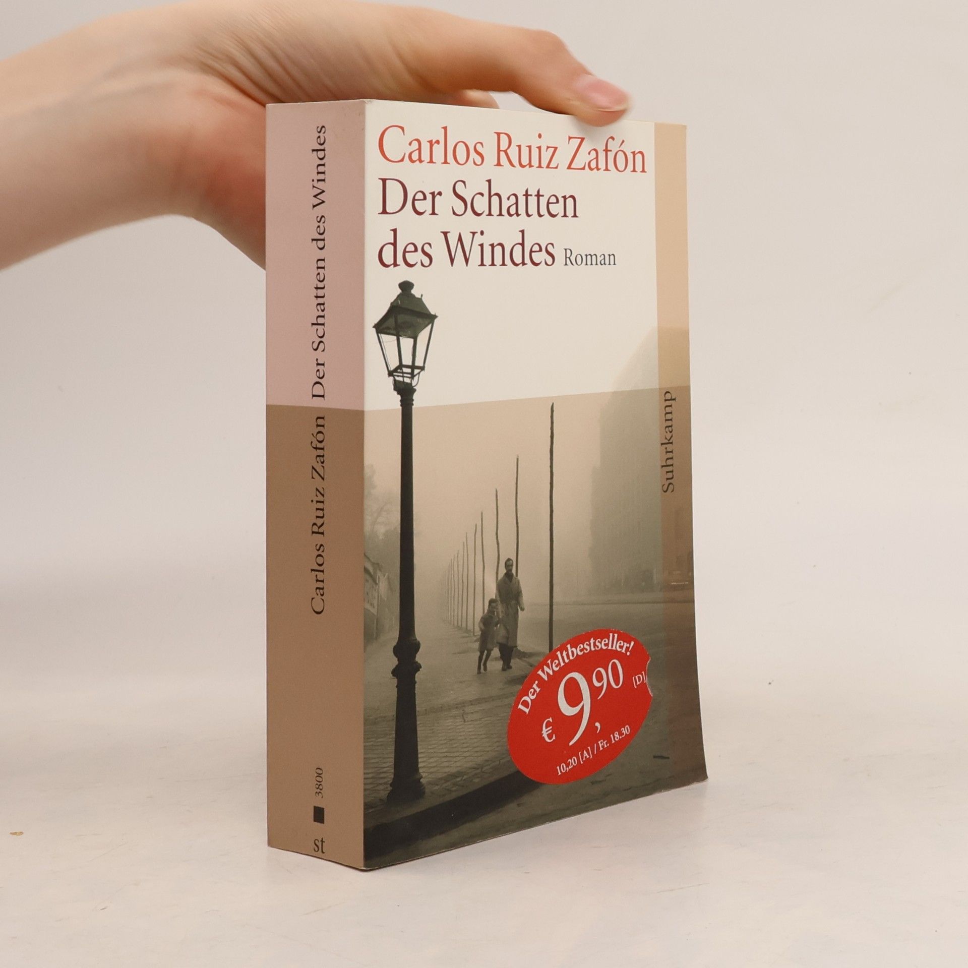 Carlos Ruiz Safon Der Schatten des Windes