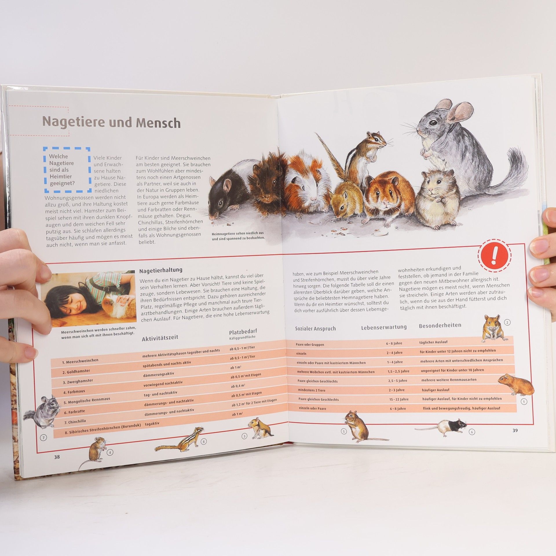 Sabine Steghaus Kovac Hamster, Biber und andere Nagetiere