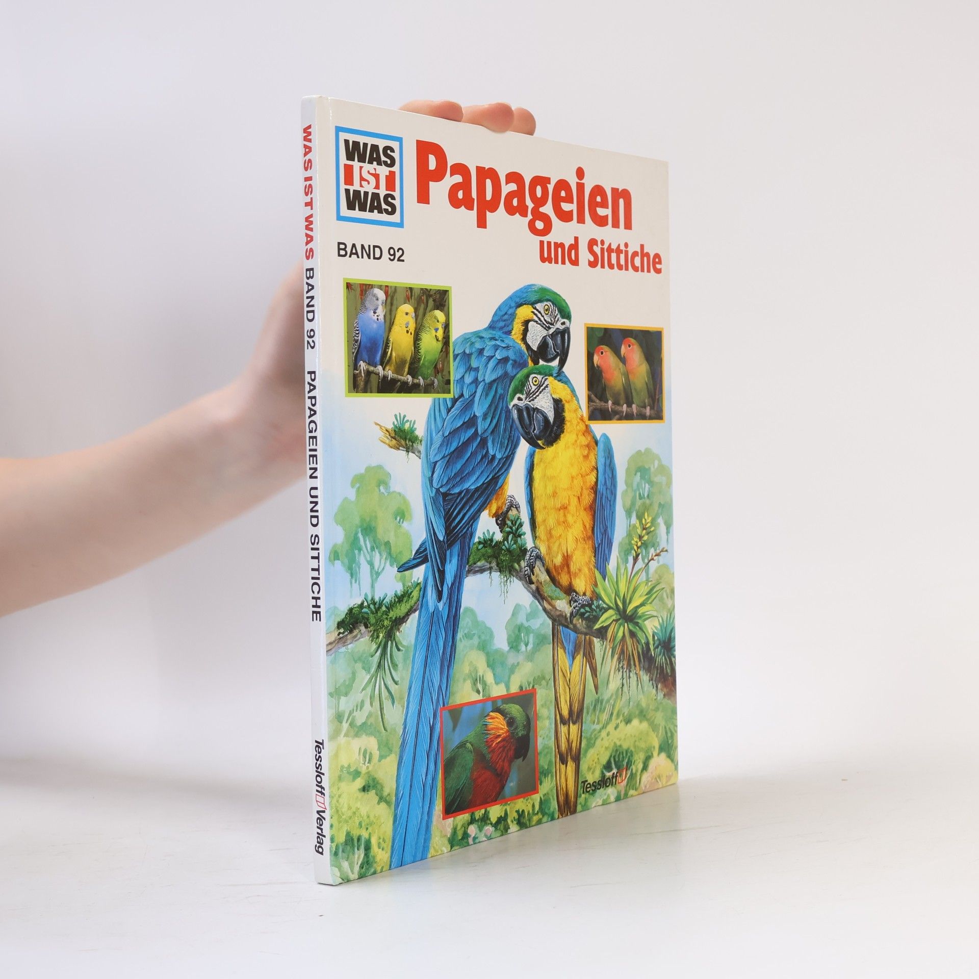 Petra Deimer-Schütte Papageien und Sittiche