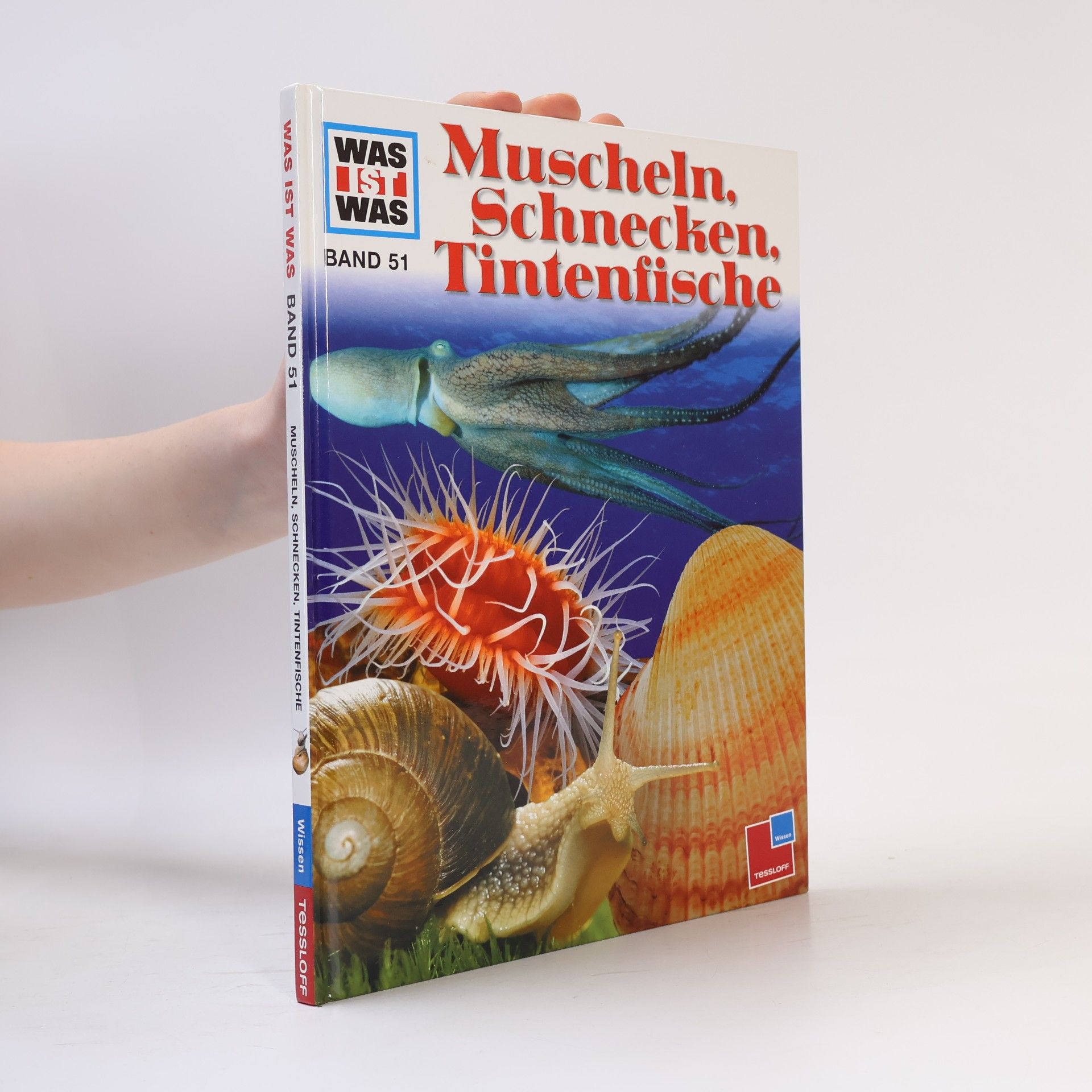 Walter Hähnel Muscheln und Schnecken
