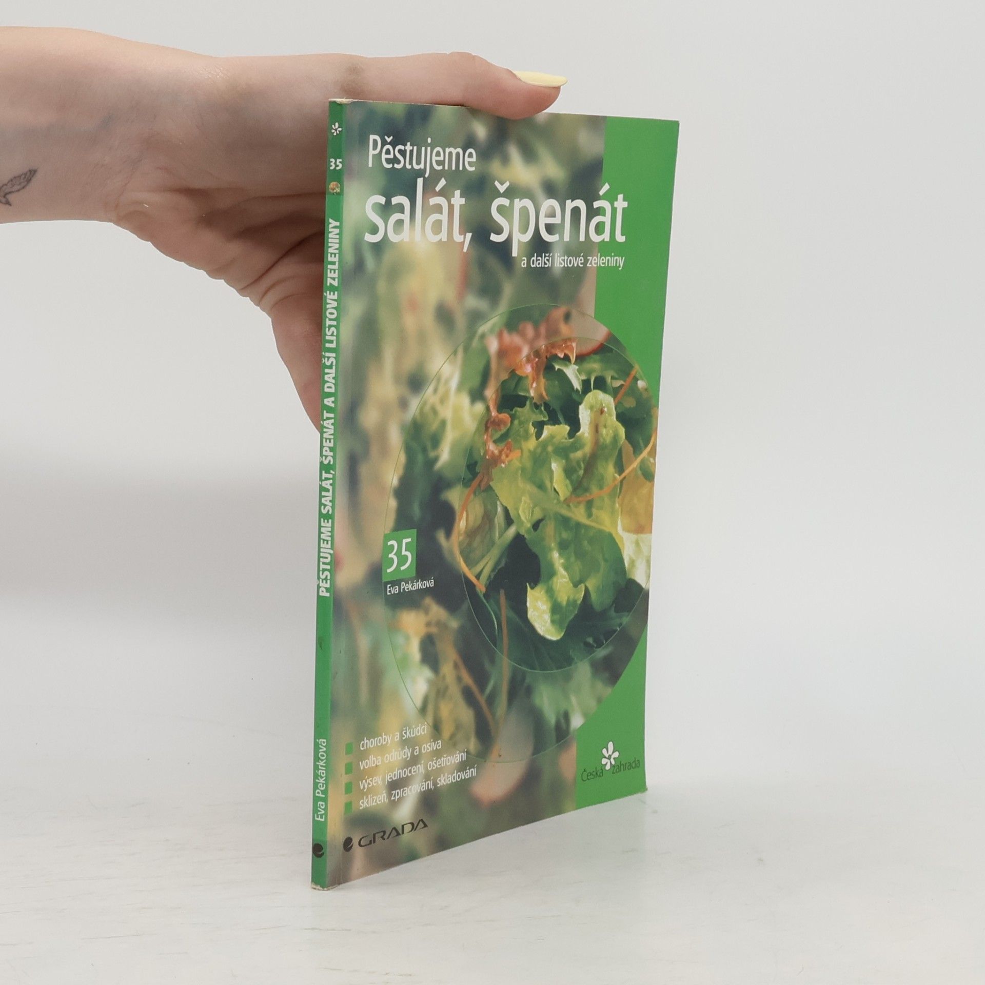 Pěstujeme salát, špenát a další listové zeleniny