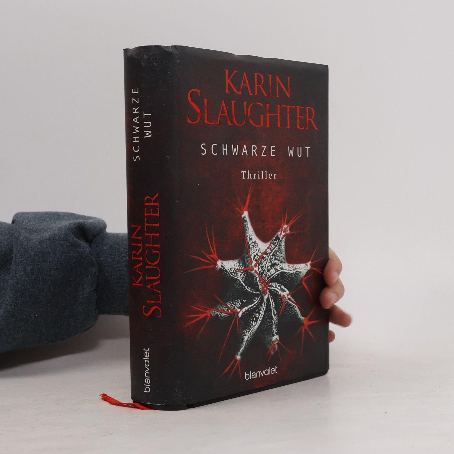 Karin Slaughter Schwarze Wut