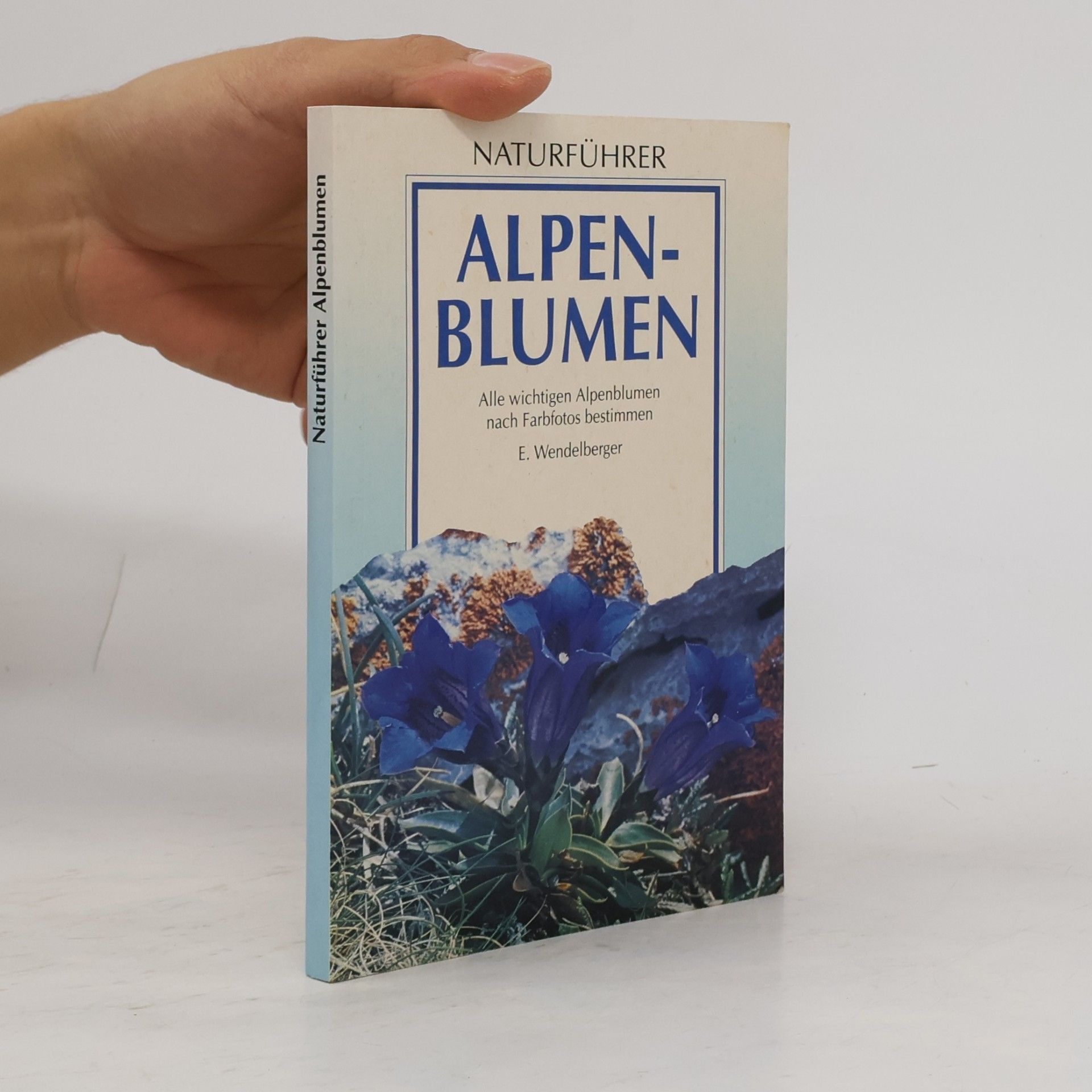 Elfrune Wendelberger Alpenblumen
