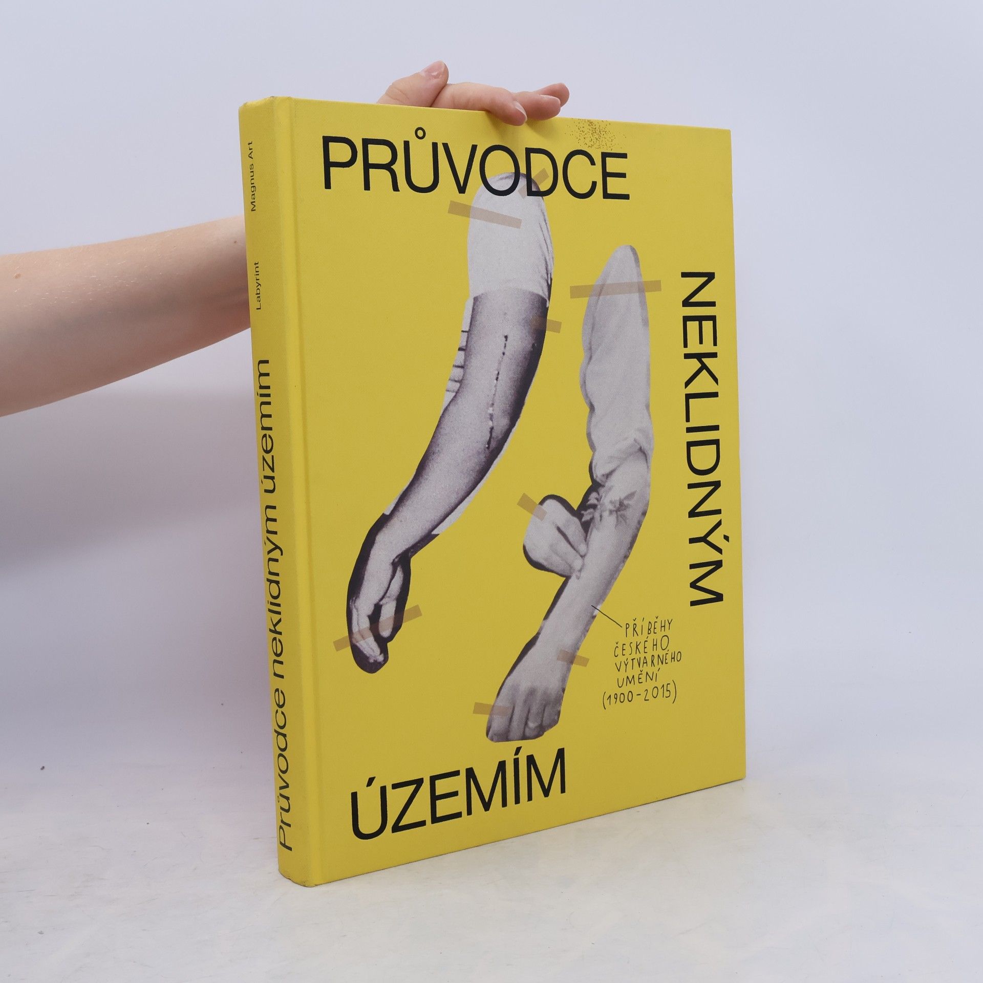 Průvodce neklidným územím. Příběhy českého výtvarného umění (1900-2015)