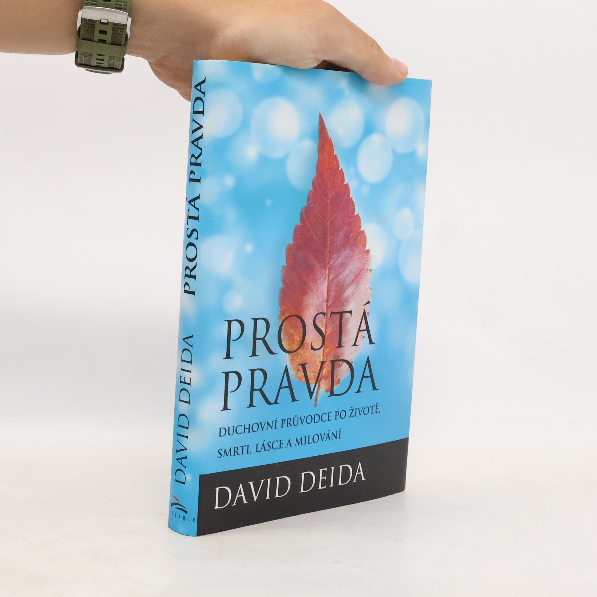 David Deida Prostá pravda
