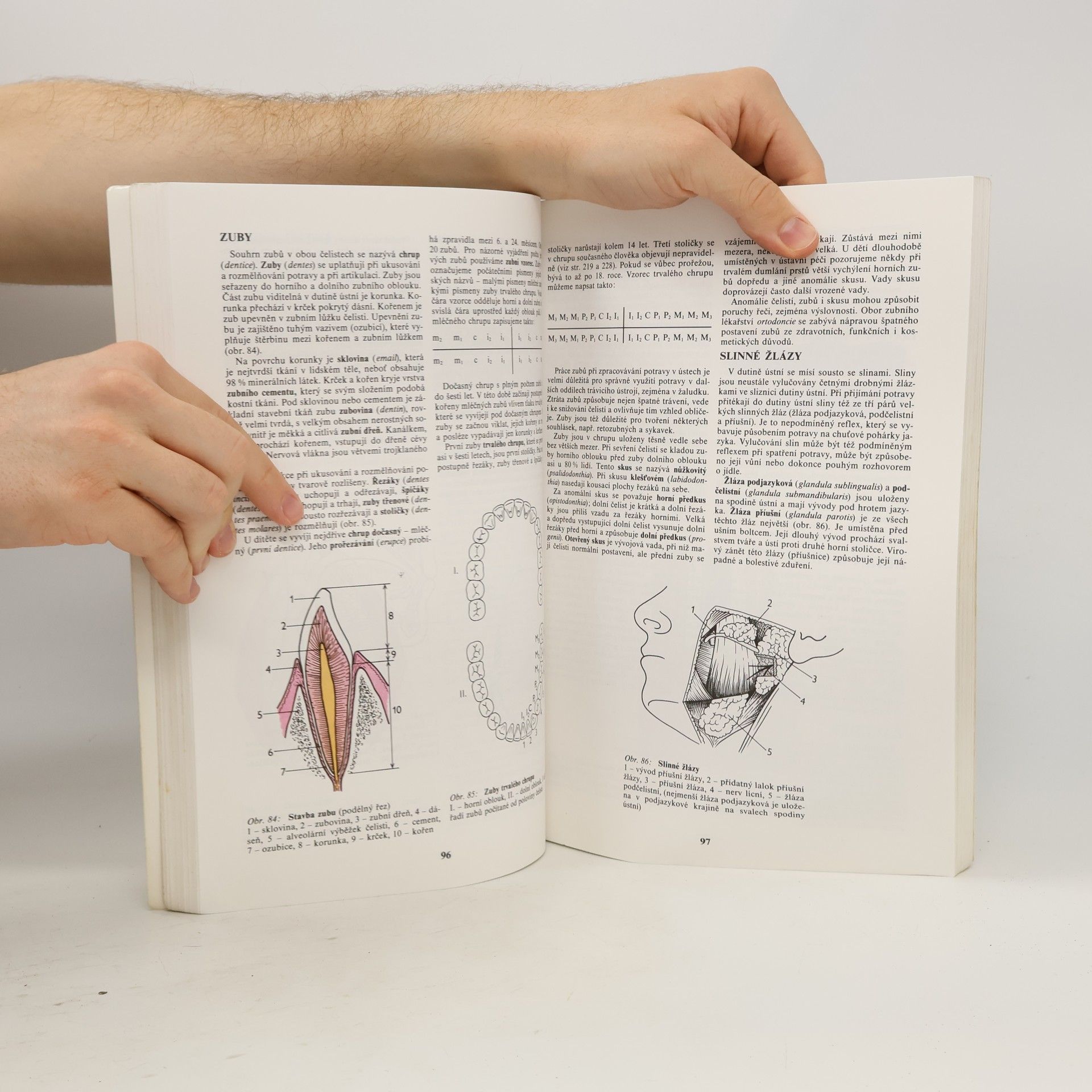 Jitka Machová Biologie člověka pro speciální pedagogy