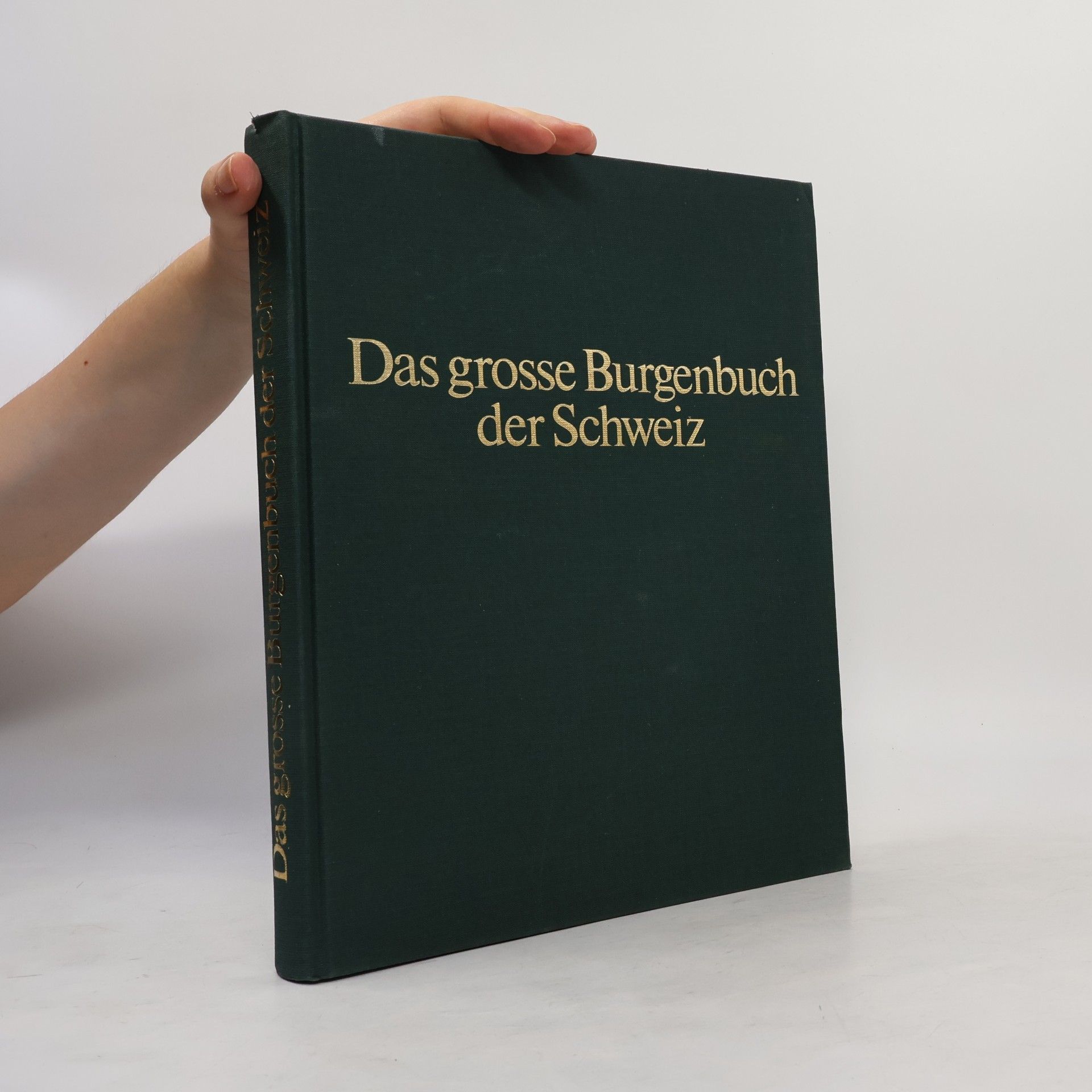 Werner Meyer-Larsen Das grosse Burgenbuch der Schweiz