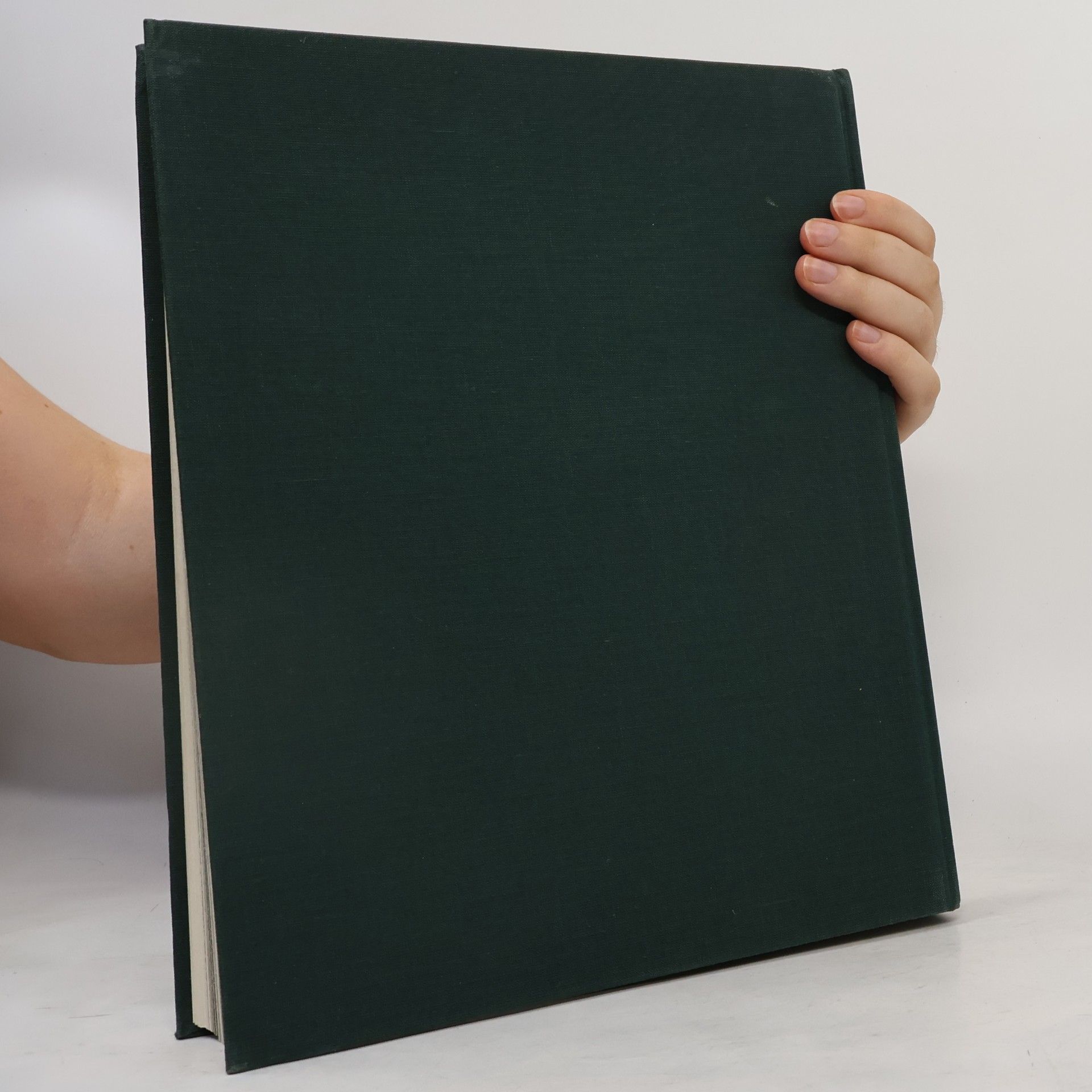 Werner Meyer-Larsen Das grosse Burgenbuch der Schweiz