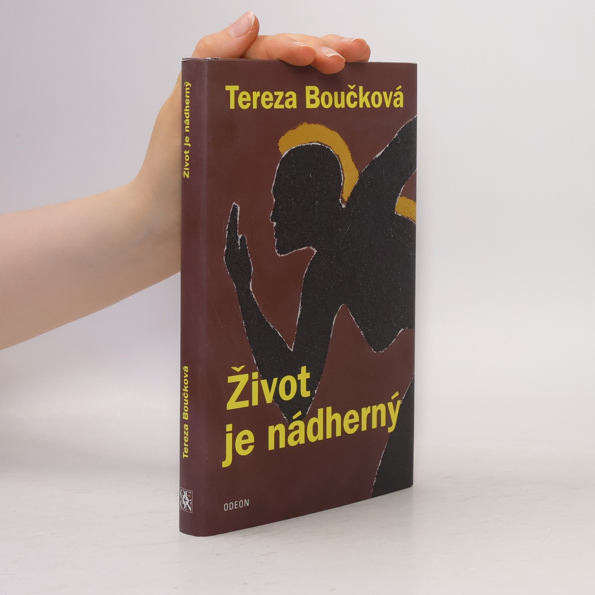 Tereza Boučková Život je nádherný