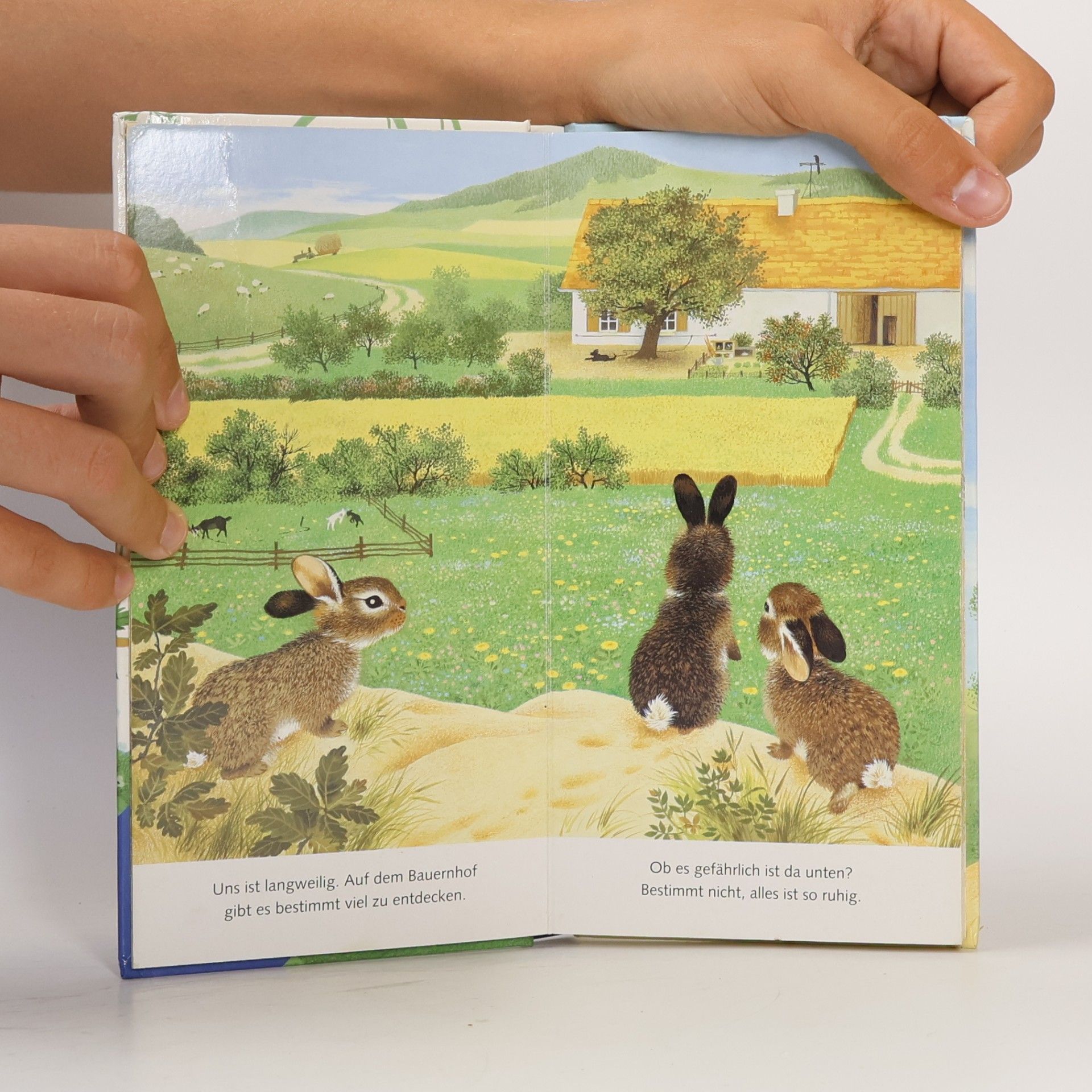 Gerda Muller Ich bin das kleine Kaninchen