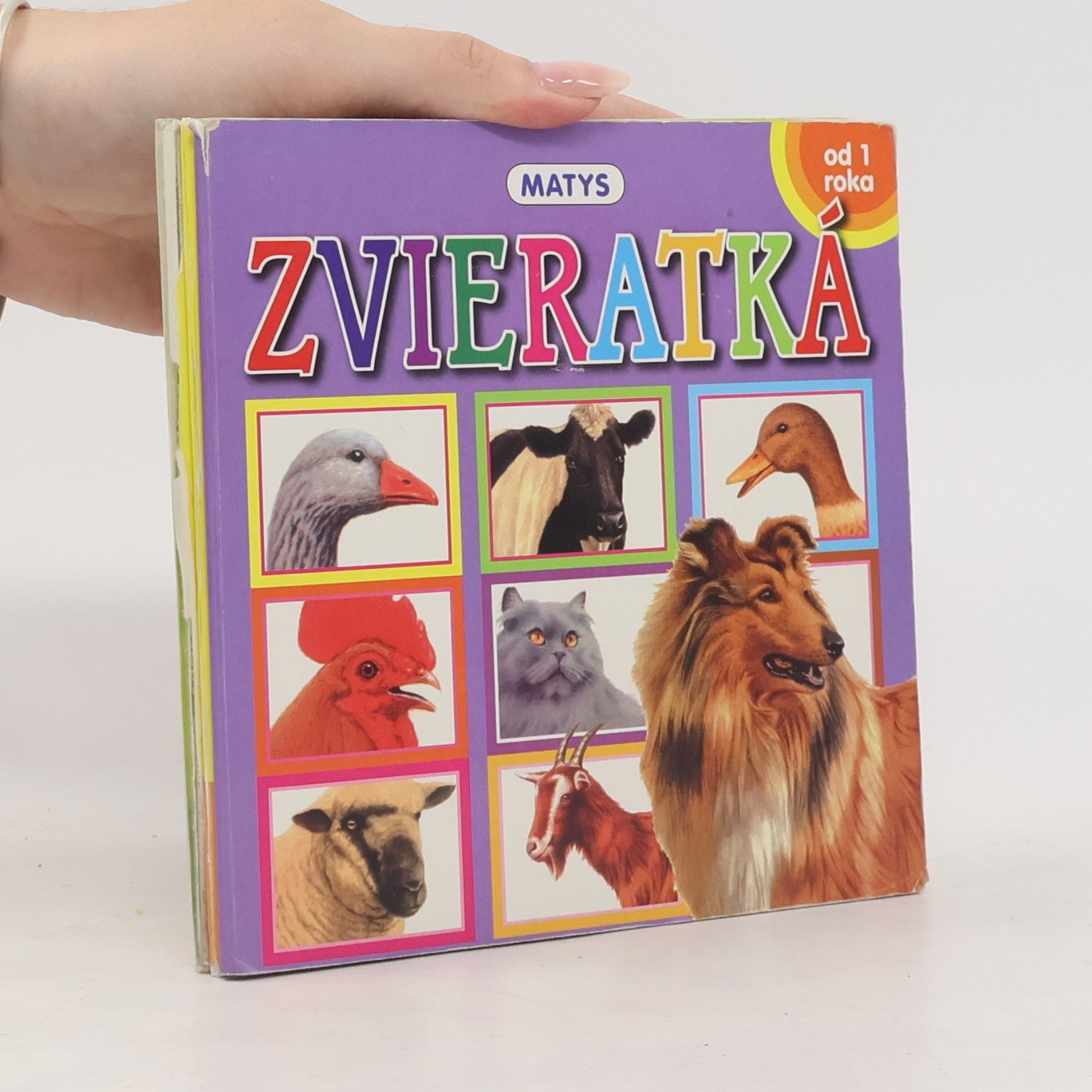 Autorenkollektiv Zvieratká