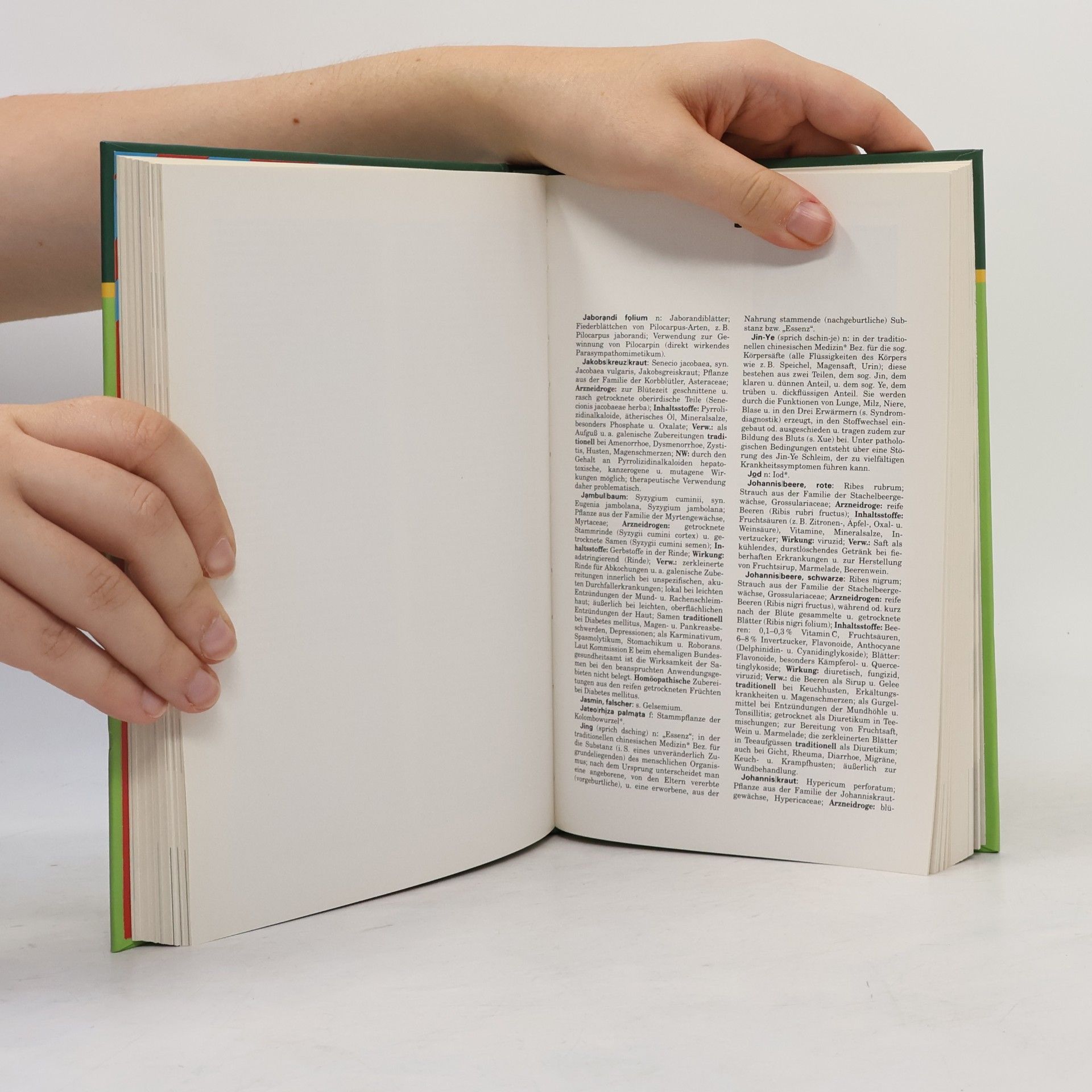 Willibald Pschyrembel Pschyrembel, Wörterbuch Naturheilkunde und alternative Heilverfahren