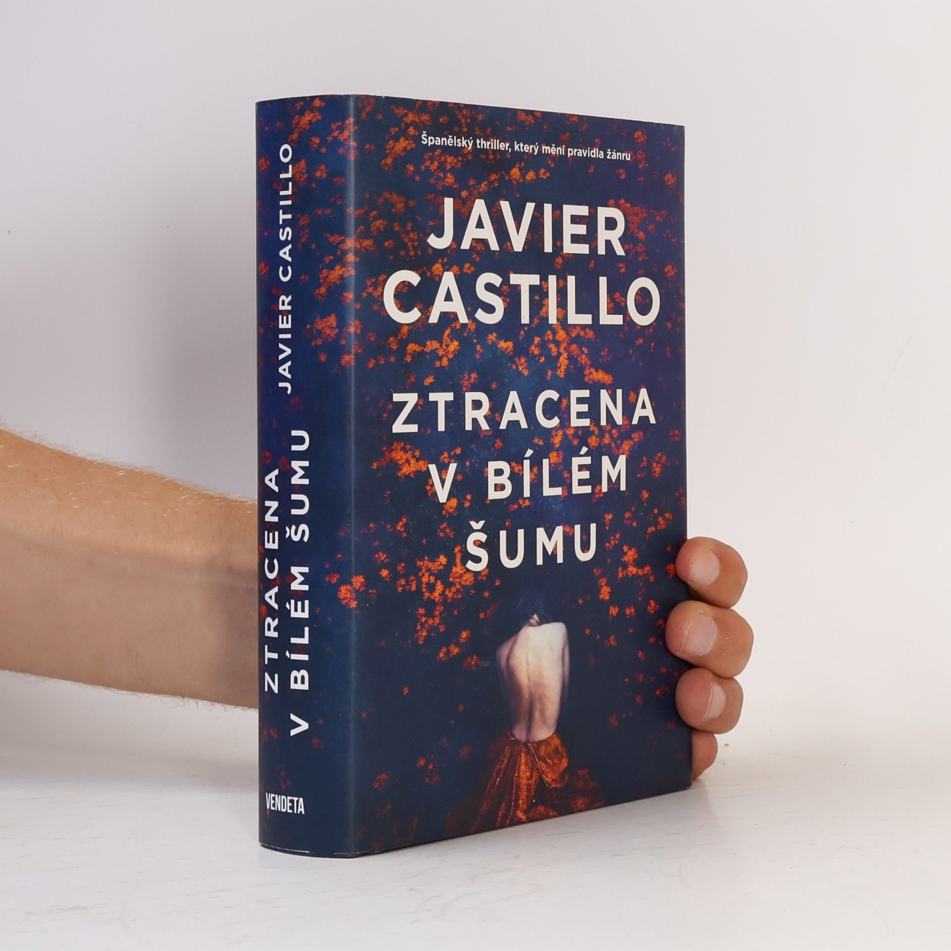 Javier Castillo Ztracena v bílém šumu