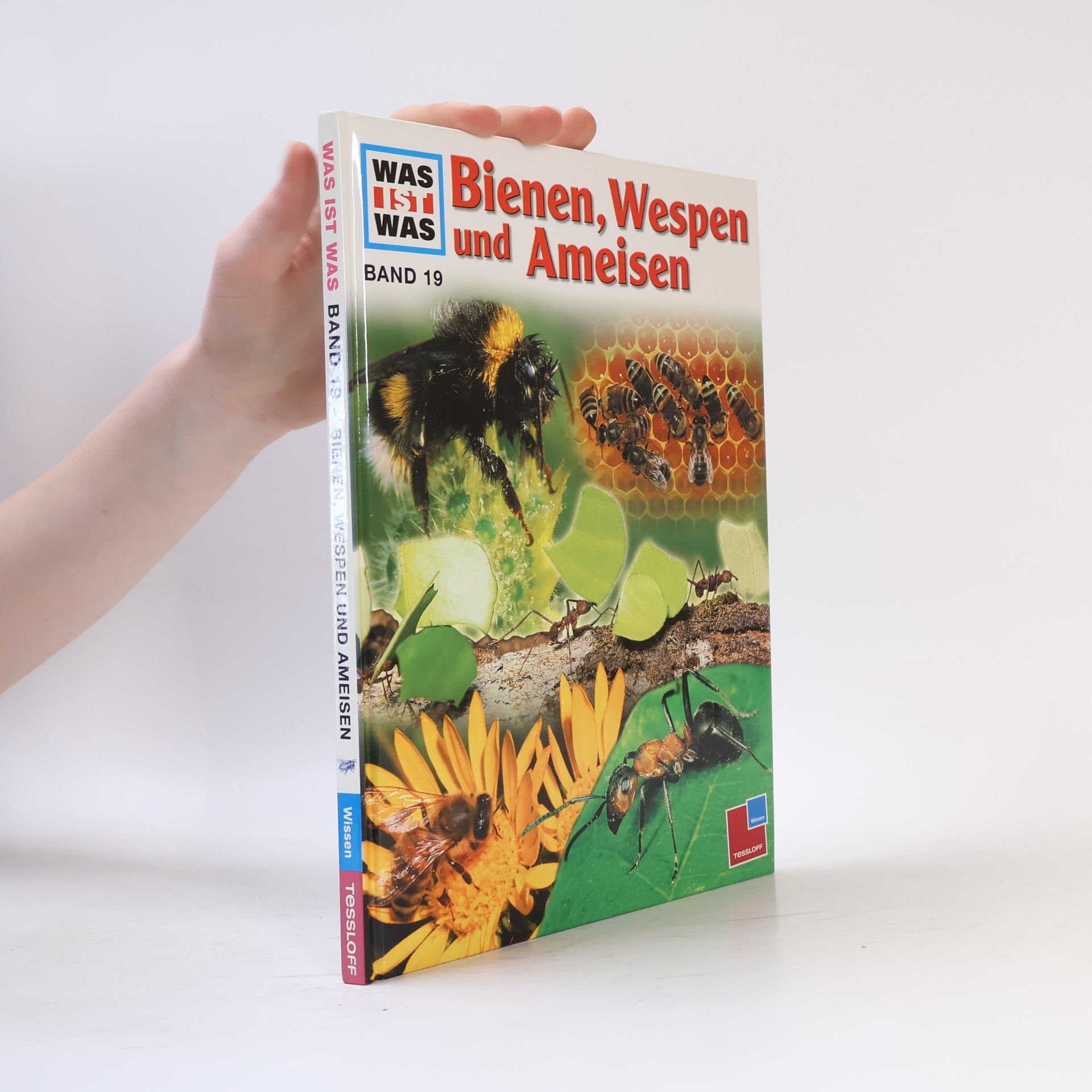 Ronald N. Rood Bienen und Ameisen